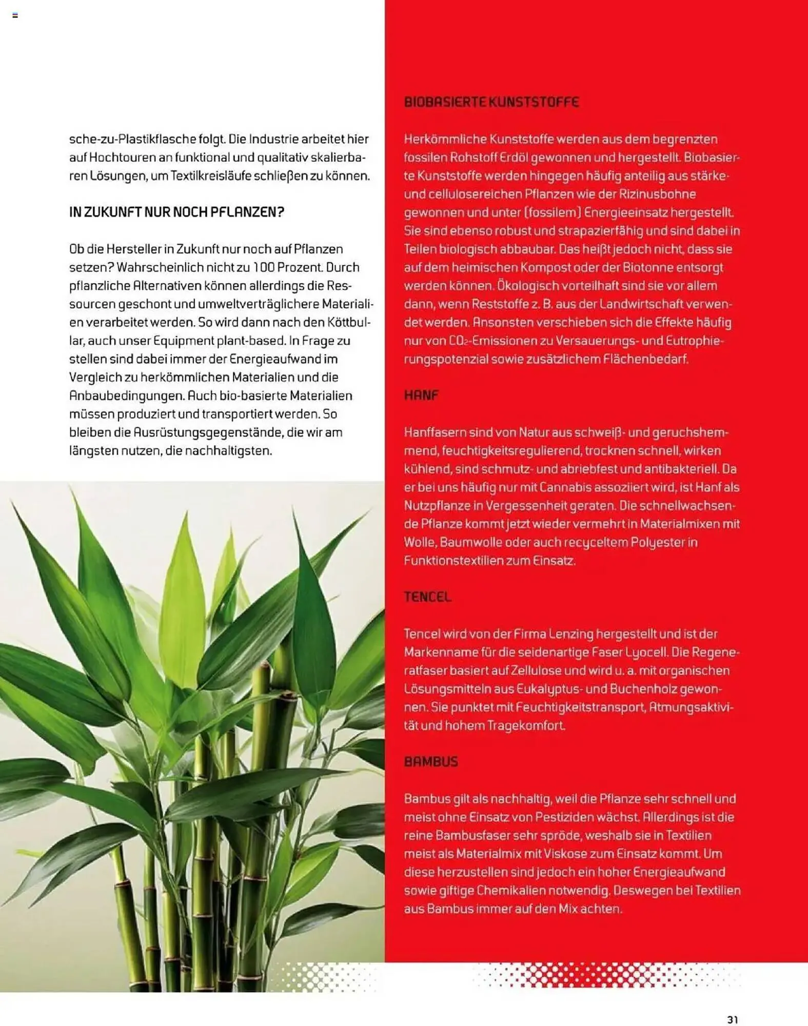 Sport 2000 Prospekt von 23. September bis 28. Februar 2026 - Prospekt seite 31