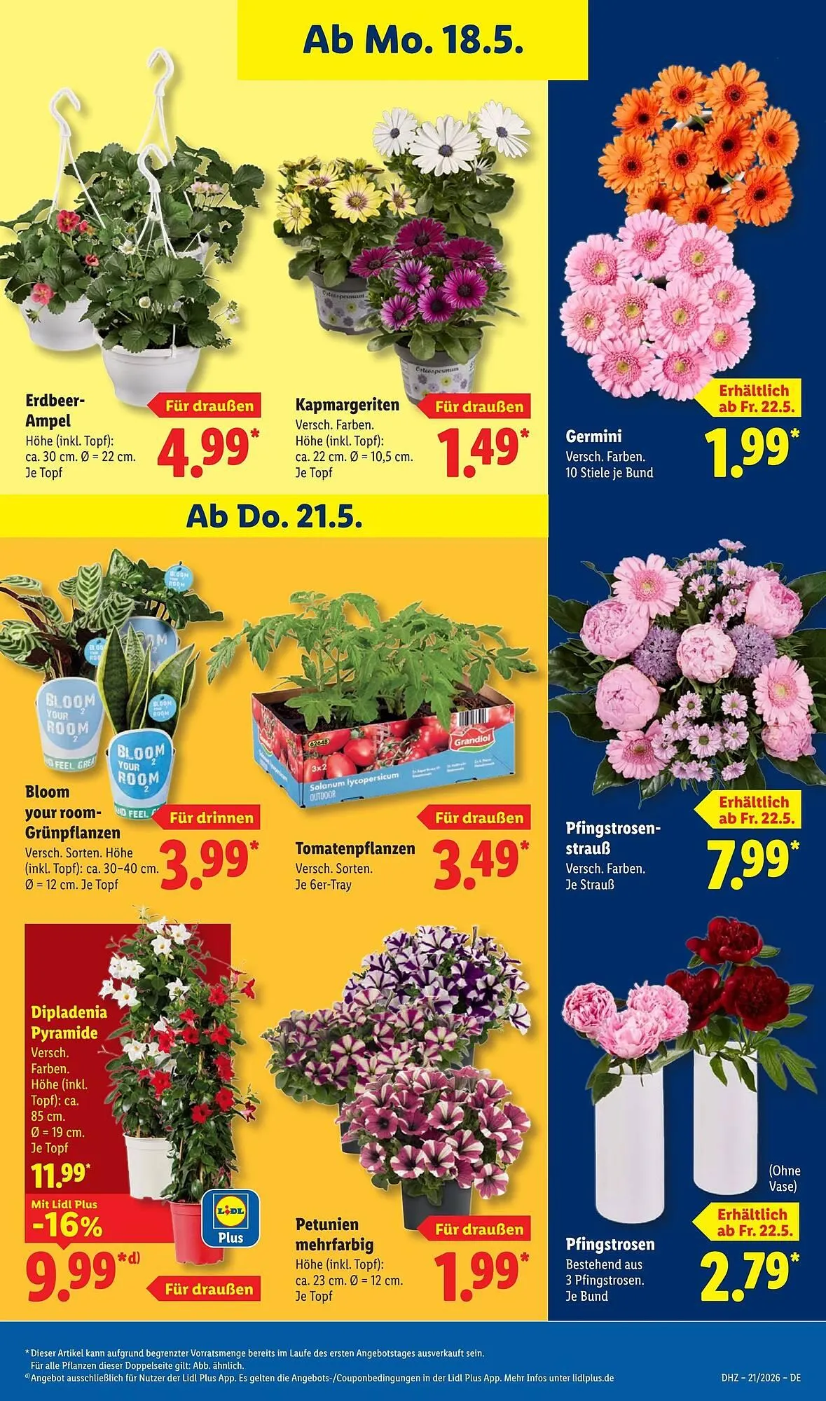 Lidl Prospekt von 18. Mai bis 24. Mai 2026 - Prospekt seite 75