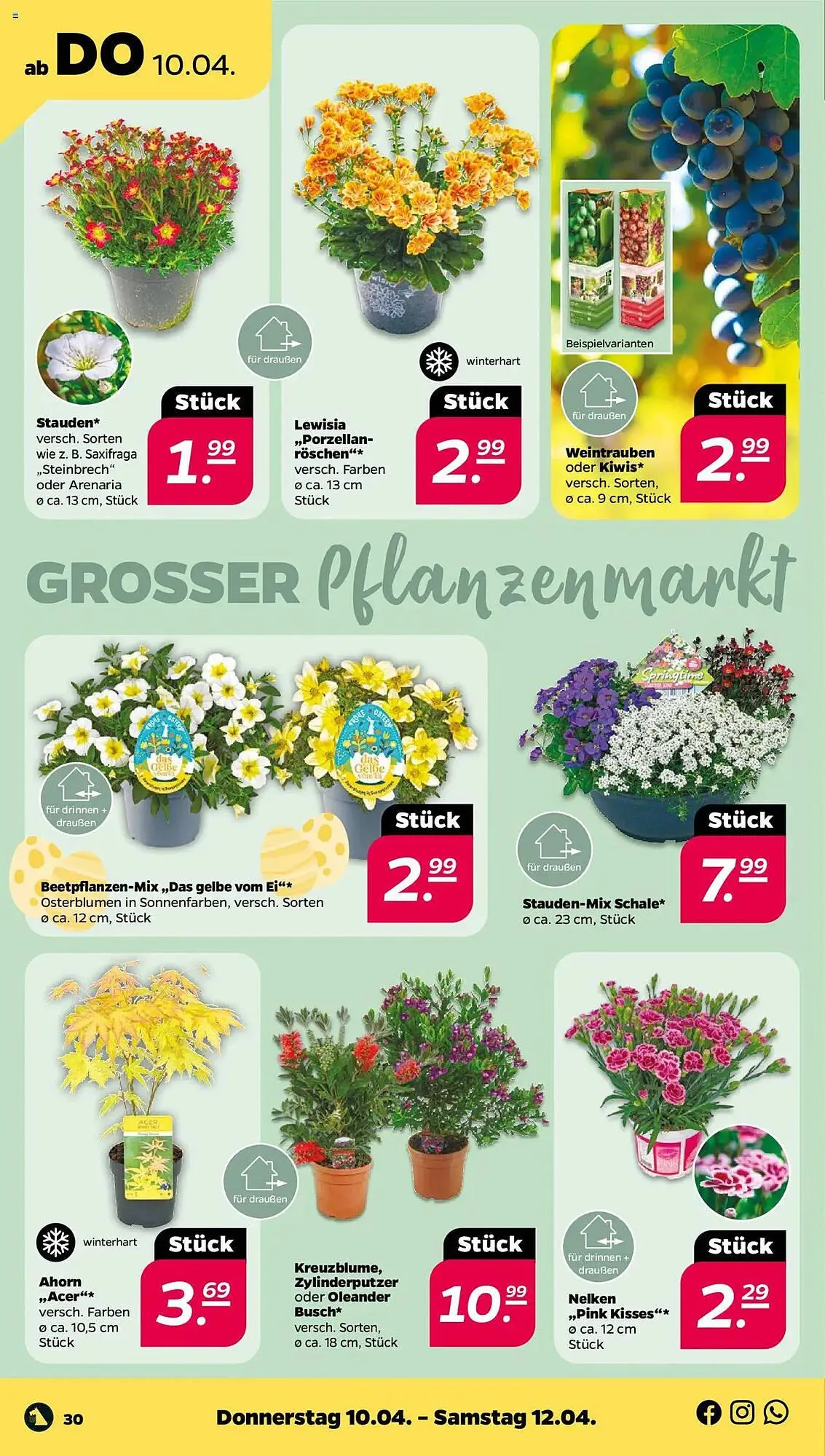 NETTO Prospekt von 7. April bis 12. April 2025 - Prospekt seite 30