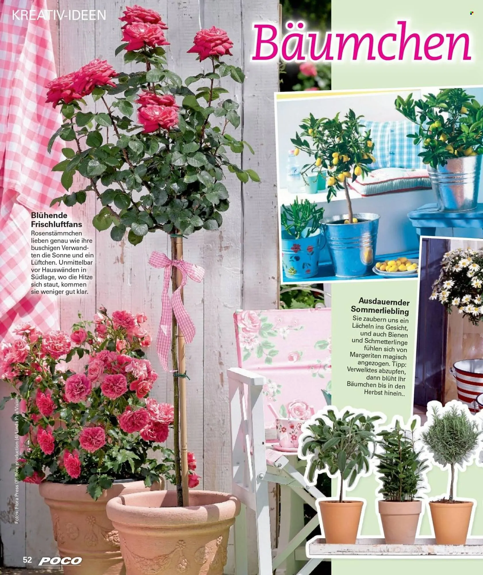 Poco Prospekt von 28. April bis 22. Juni 2025 - Prospekt seite 52