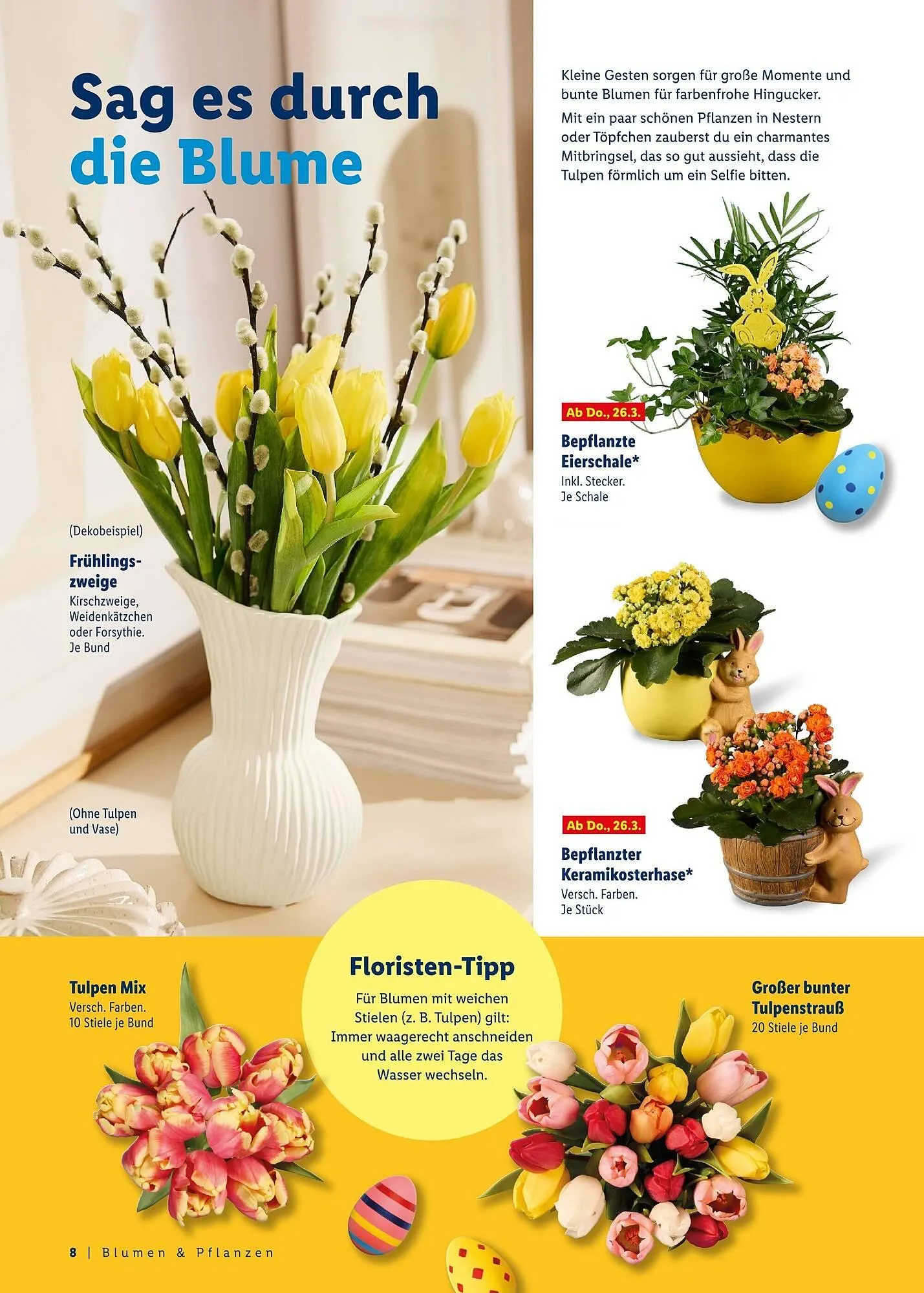 Lidl Prospekt von 8. März bis 4. April 2026 - Prospekt seite 8