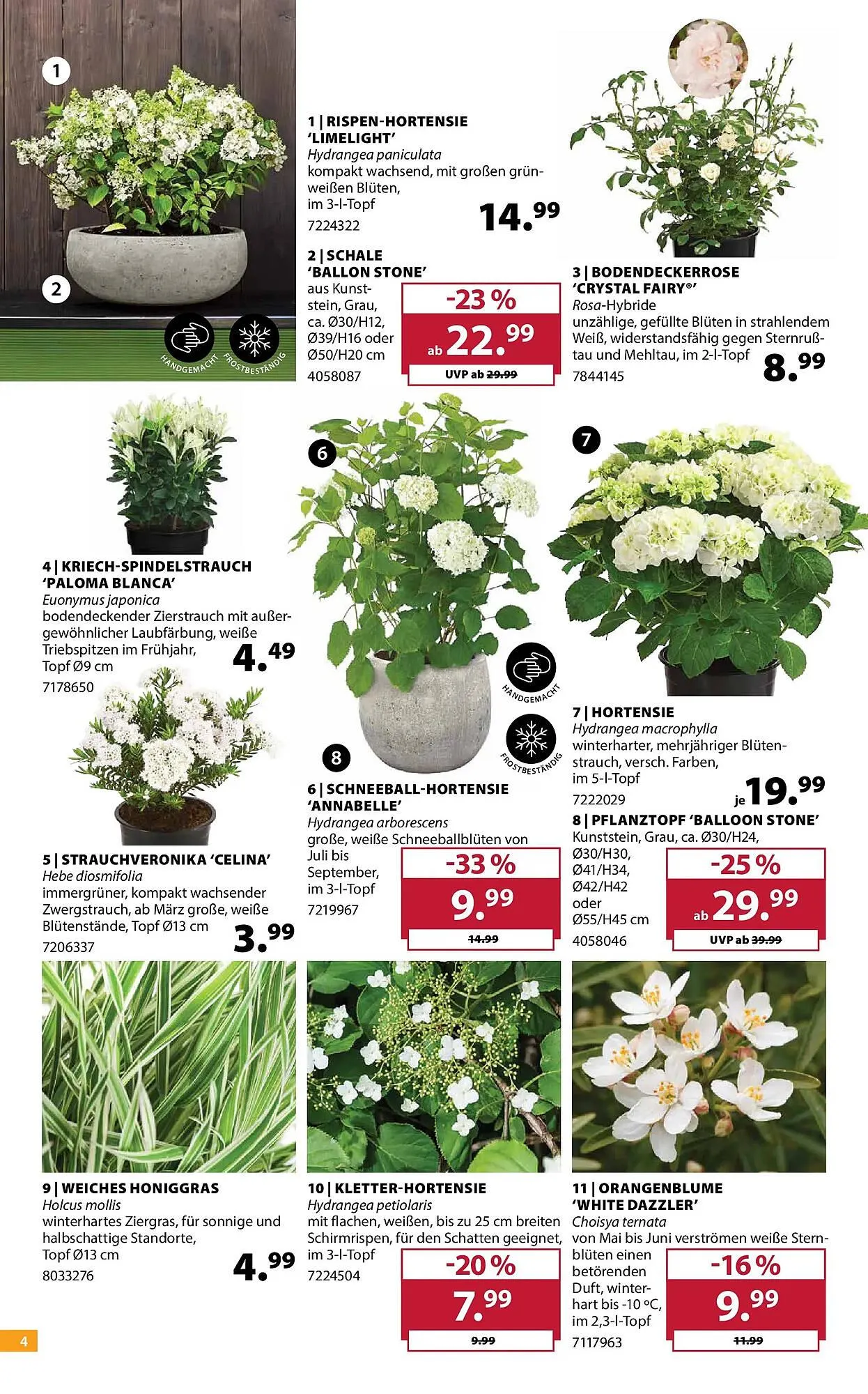 Dehner Prospekt von 21. April bis 27. April 2026 - Prospekt seite 4