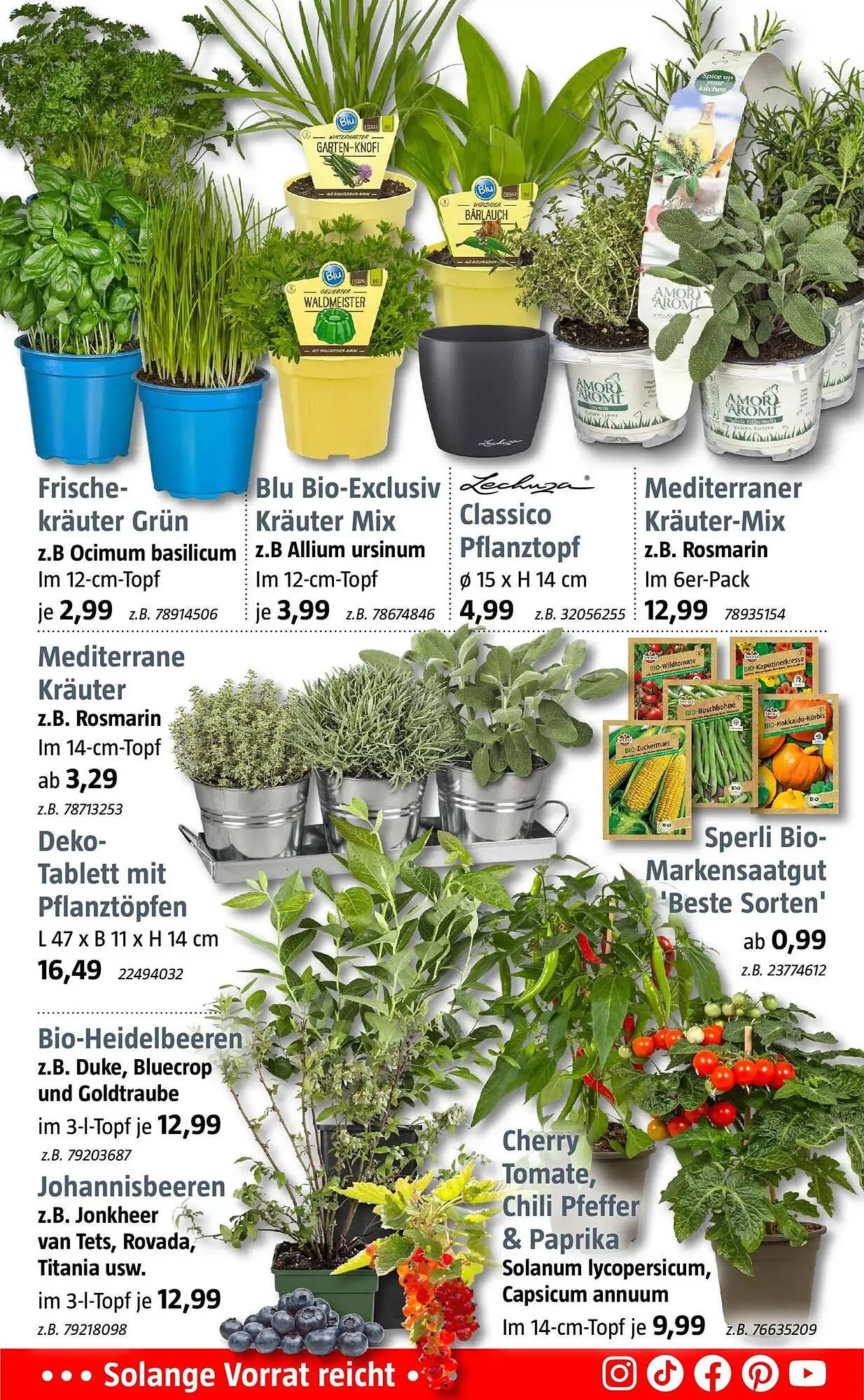 Bauhaus Prospekt von 16. März bis 28. März 2026 - Prospekt seite 3