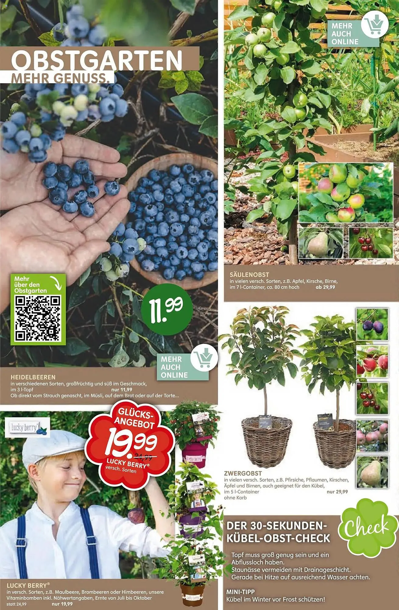 Blumen Risse Prospekt von 12. März bis 22. März 2026 - Prospekt seite 6