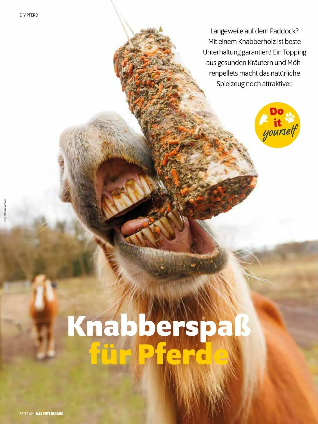 Futterhaus Aktueller Prospekt von 1. August bis 31. August 2025 - Prospekt seite 42