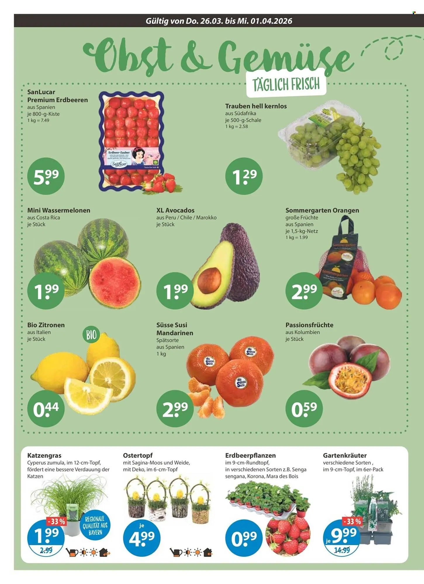 V Markt Prospekt von 26. März bis 1. April 2026 - Prospekt seite 4