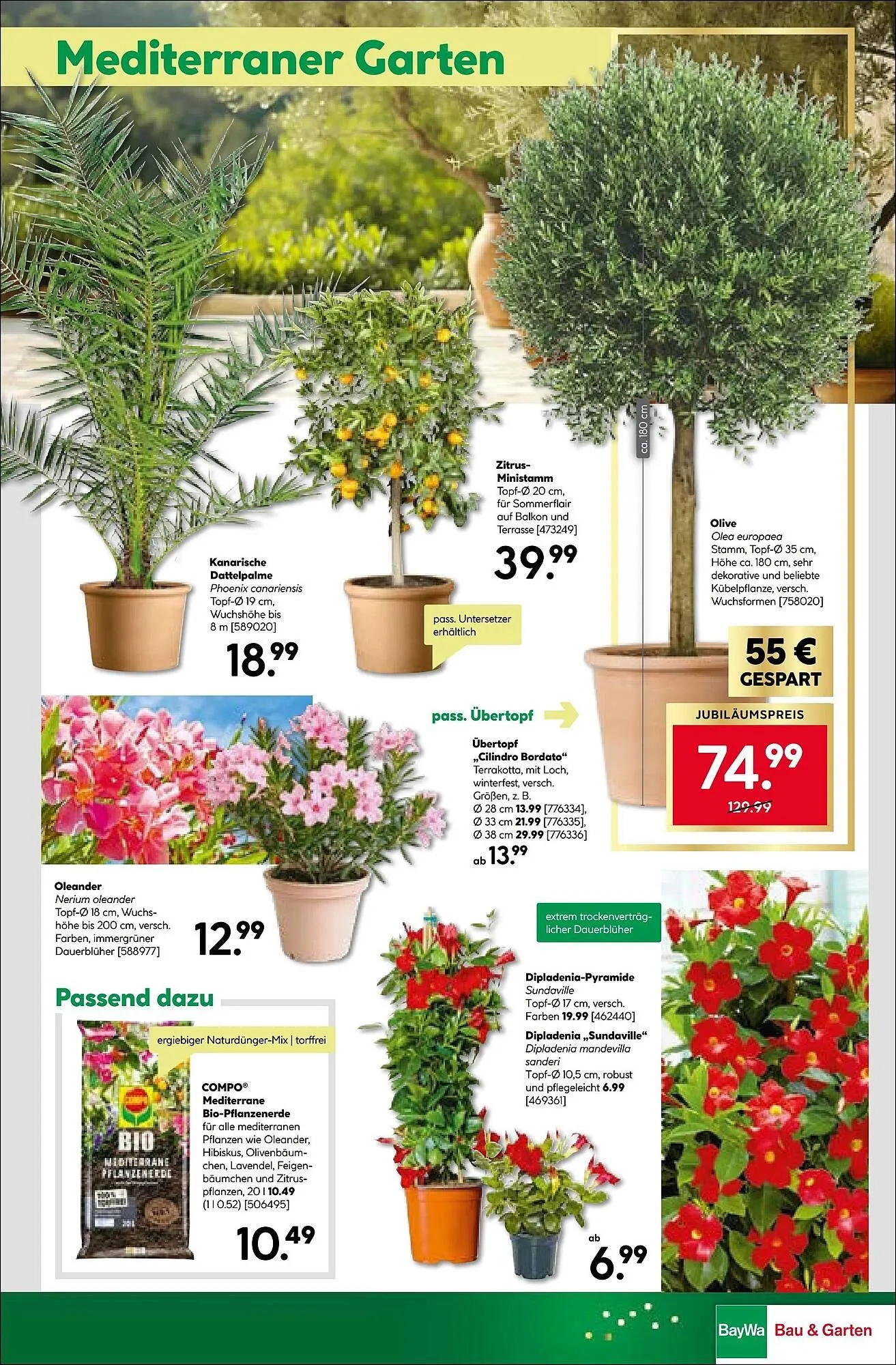 BayWa Bau & Garten Prospekt von 27. April bis 3. Mai 2026 - Prospekt seite 21