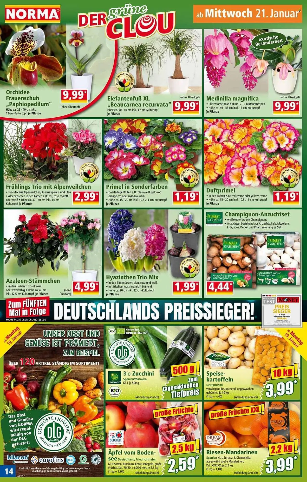 Norma Prospekt von 19. Januar bis 25. Januar 2026 - Prospekt seite 14