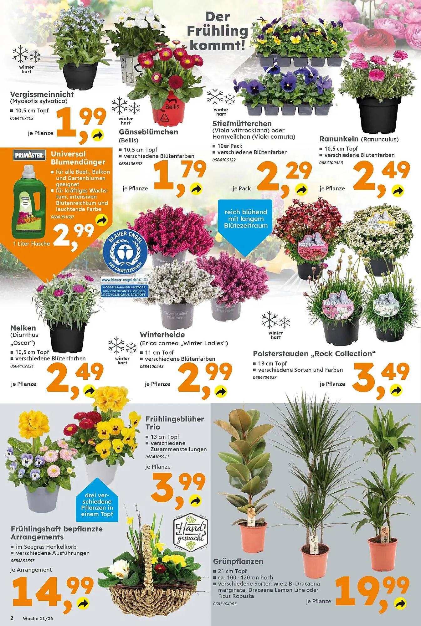 Globus Baumarkt Prospekt von 8. März bis 14. März 2026 - Prospekt seite 2