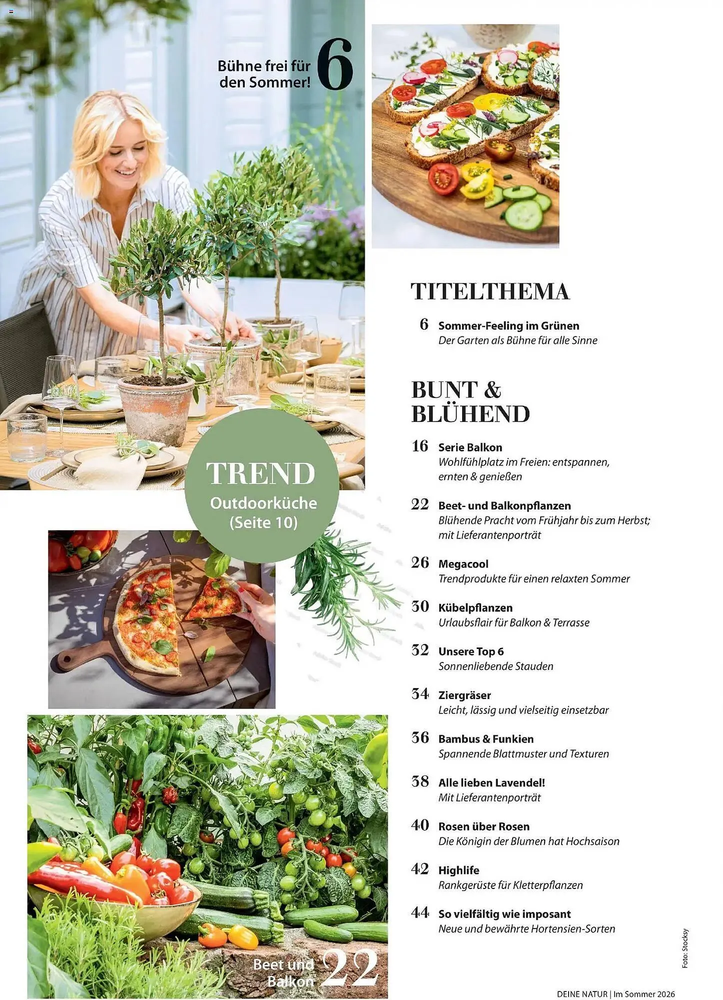 Dehner Prospekt von 17. April bis 31. August 2026 - Prospekt seite 4