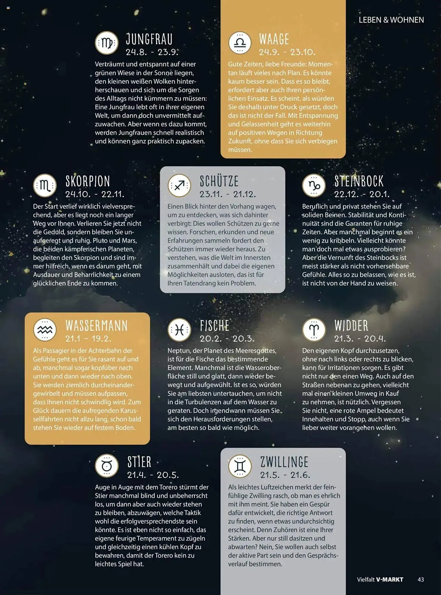 V Markt Prospekt von 1. Juli bis 31. August 2025 - Prospekt seite 43