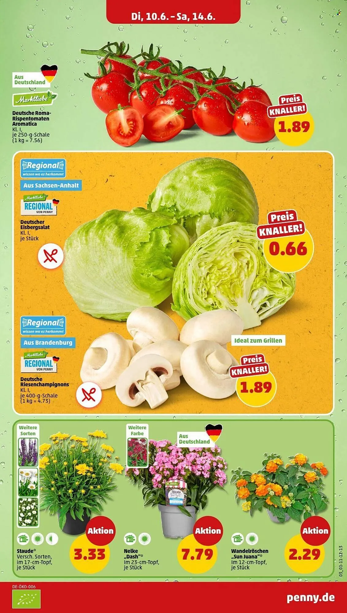 PENNY Prospekt von 10. Juni bis 14. Juni 2025 - Prospekt seite 5