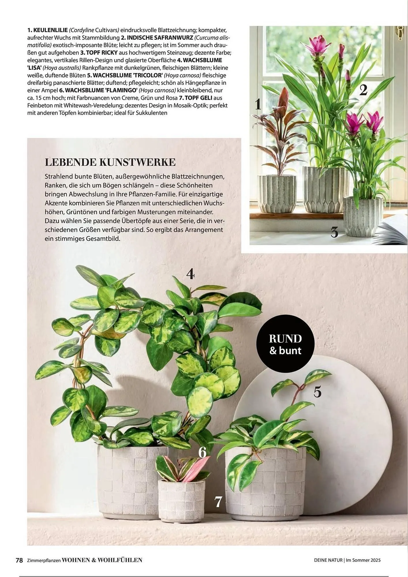 Dehner Prospekt von 1. Juli bis 31. Dezember 2025 - Prospekt seite 78