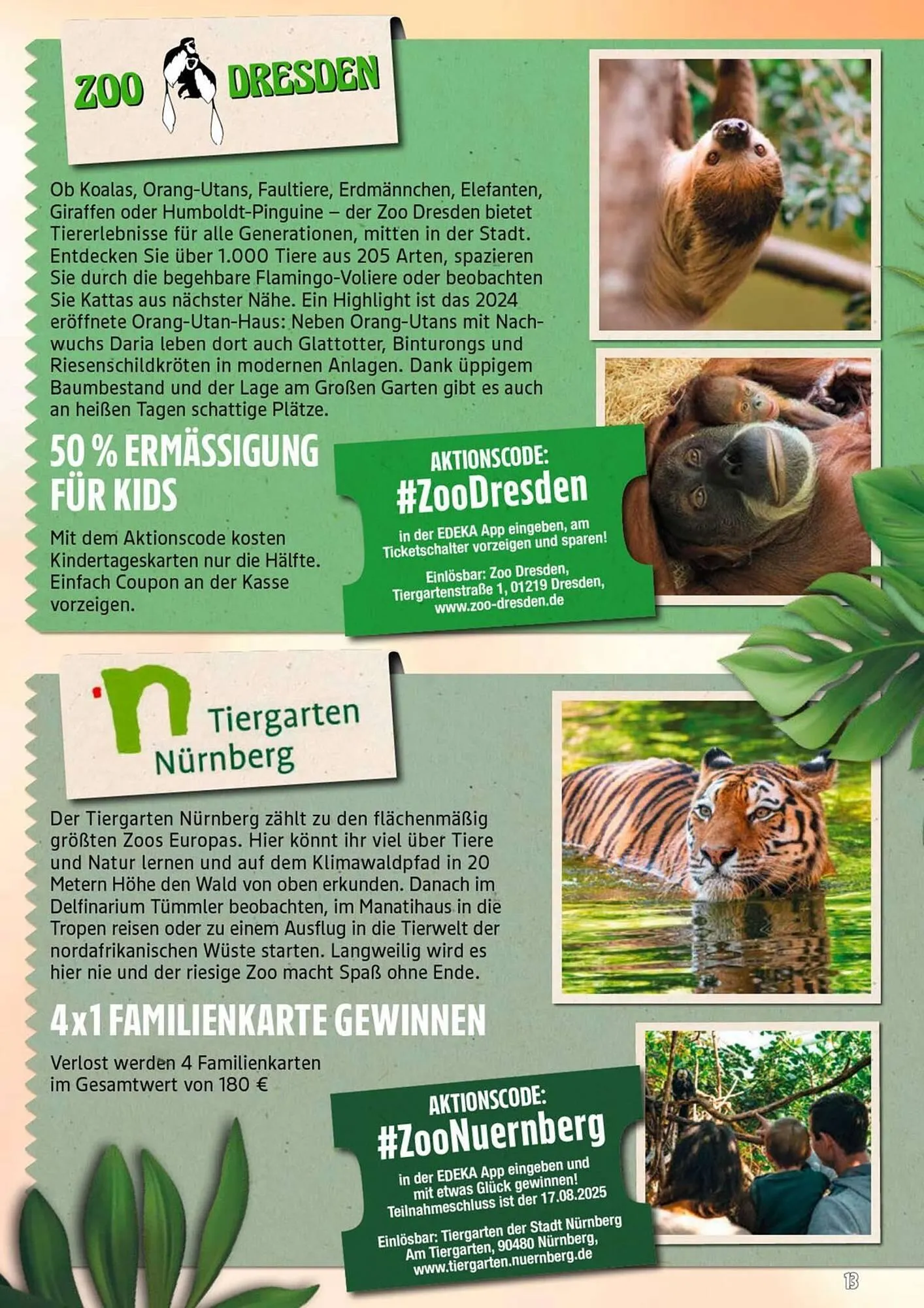 nah & gut Prospekt von 19. Juli bis 26. Juli 2025 - Prospekt seite 19