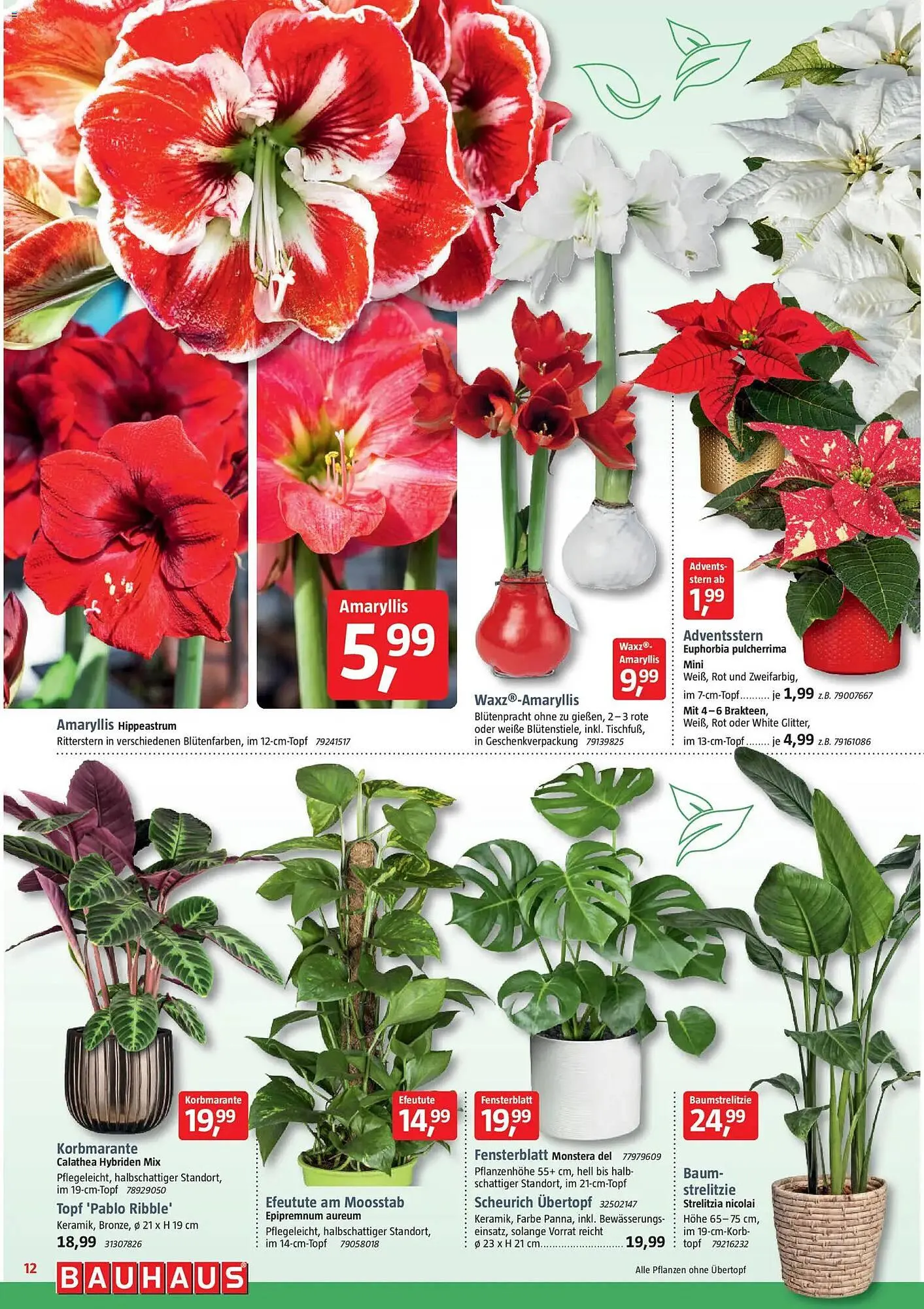 Bauhaus Prospekt von 29. November bis 3. Januar 2026 - Prospekt seite 12