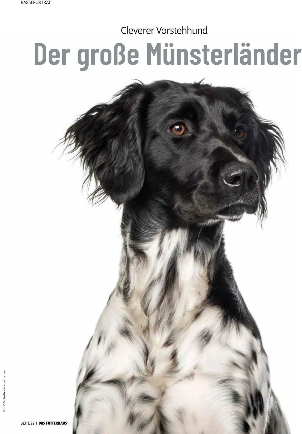 Futterhaus Aktueller Prospekt von 1. Mai bis 31. Mai 2025 - Prospekt seite 22