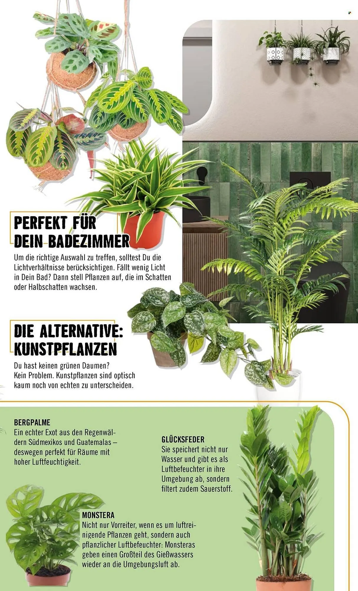 Hornbach Prospekt von 1. Februar bis 1. Februar 2026 - Prospekt seite 67