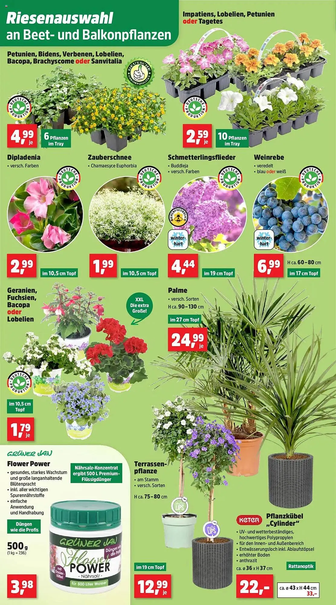 Thomas Philipps Prospekt von 5. Mai bis 10. Mai 2025 - Prospekt seite 5