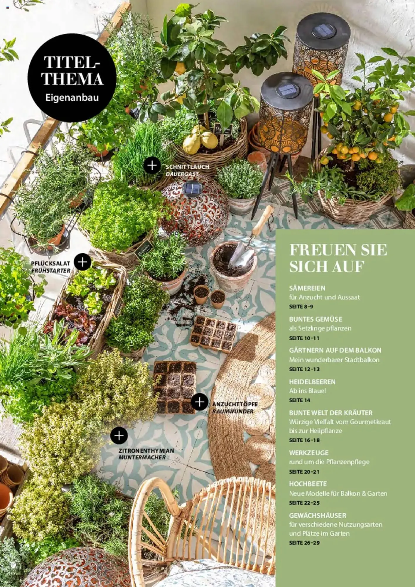 Dehner Prospekt von 6. März bis 9. Juni 2025 - Prospekt seite 6