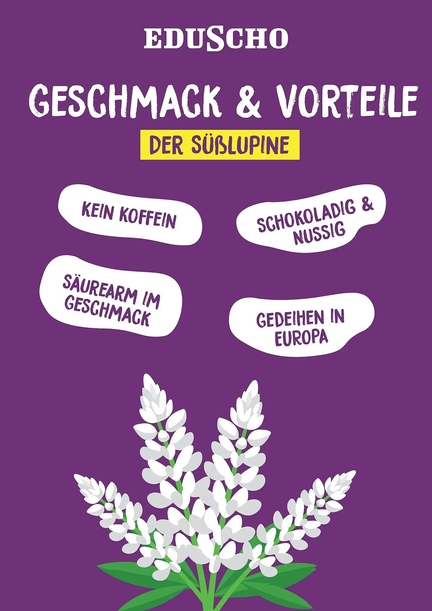 Tchibo Prospekt von 8. November bis 22. November 2025 - Prospekt seite 2