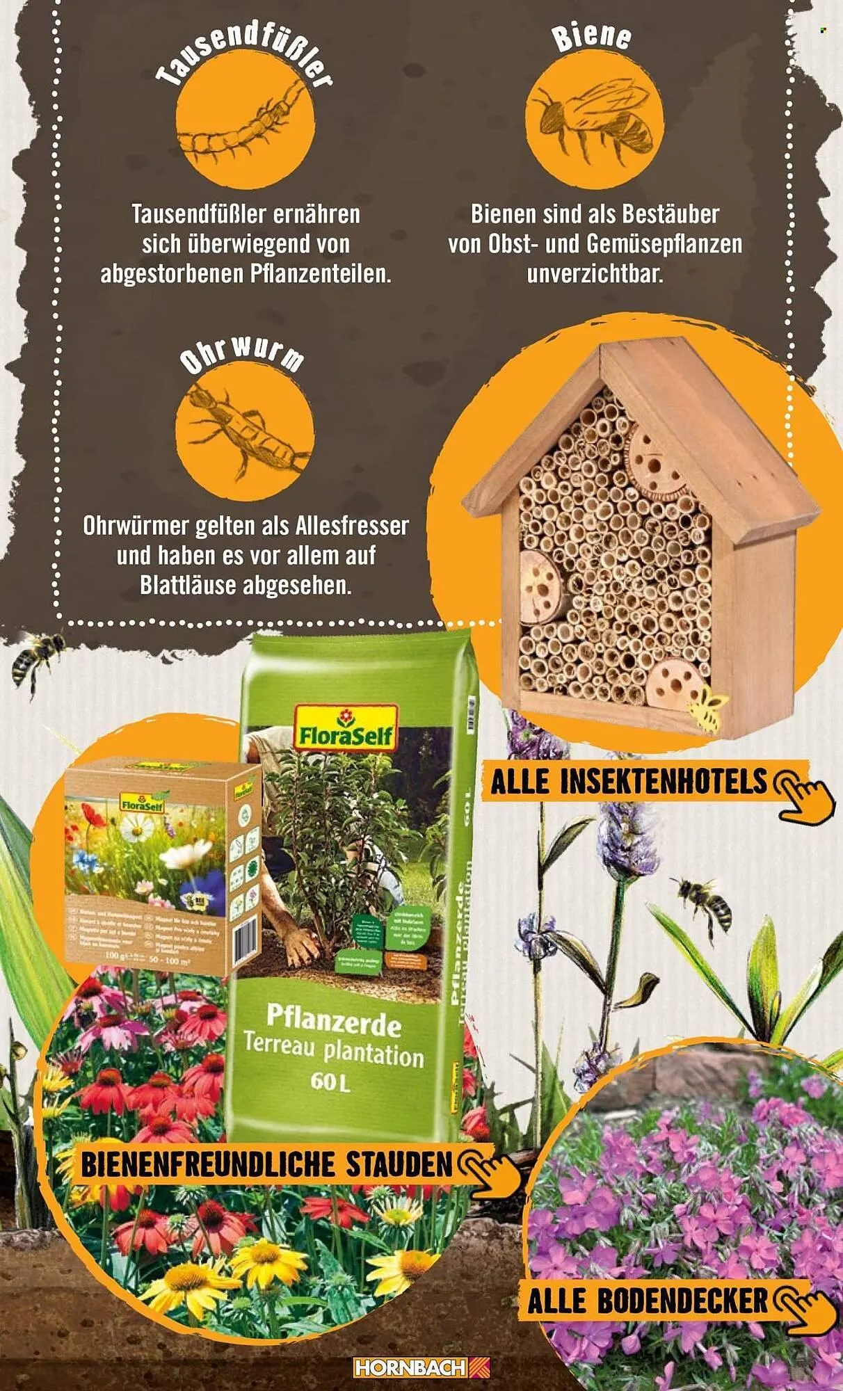 Hornbach Prospekt von 24. April bis 2. Mai 2026 - Prospekt seite 11