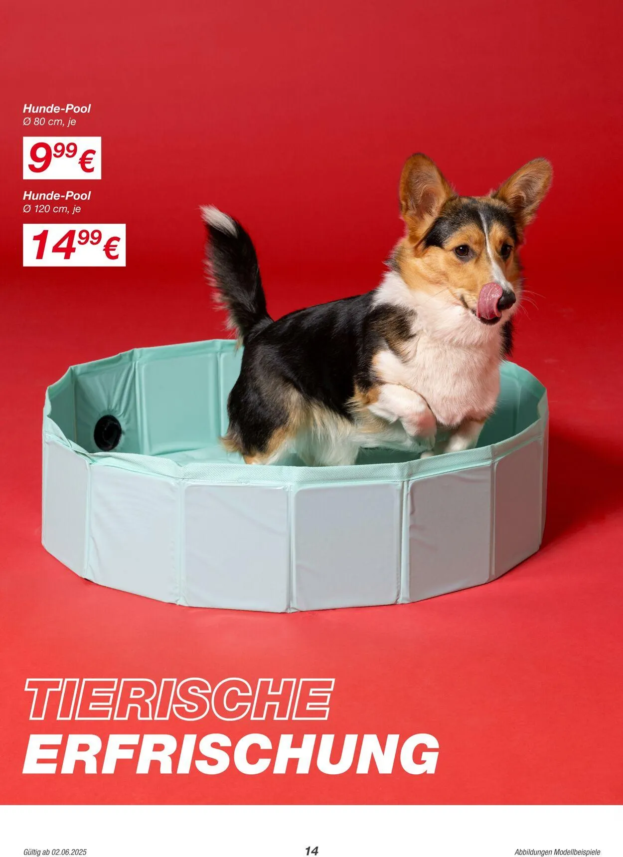 Kik Aktueller Prospekt von 7. Juli bis 21. Juli 2025 - Prospekt seite 14