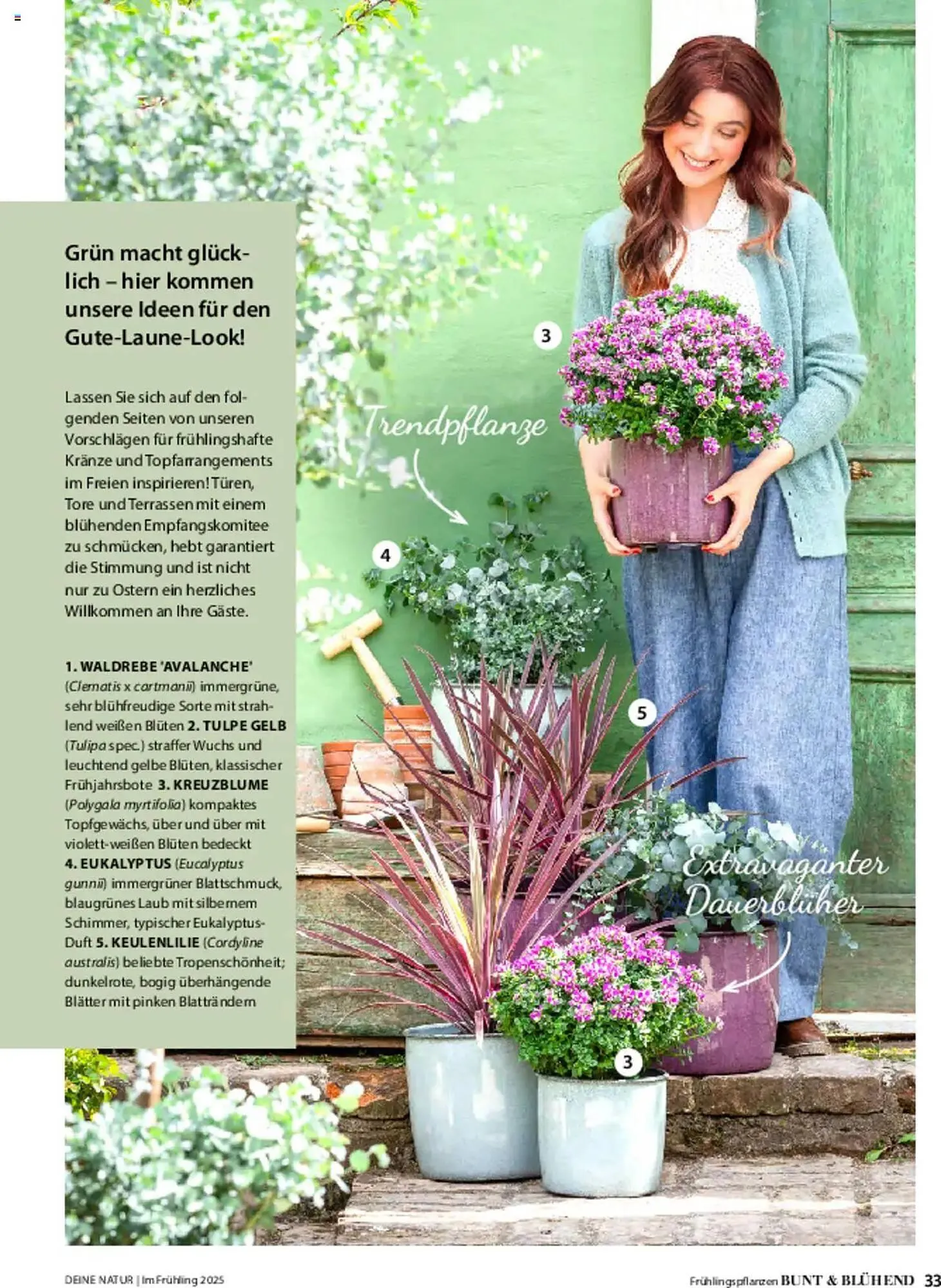 Dehner Prospekt von 6. März bis 9. Juni 2025 - Prospekt seite 33