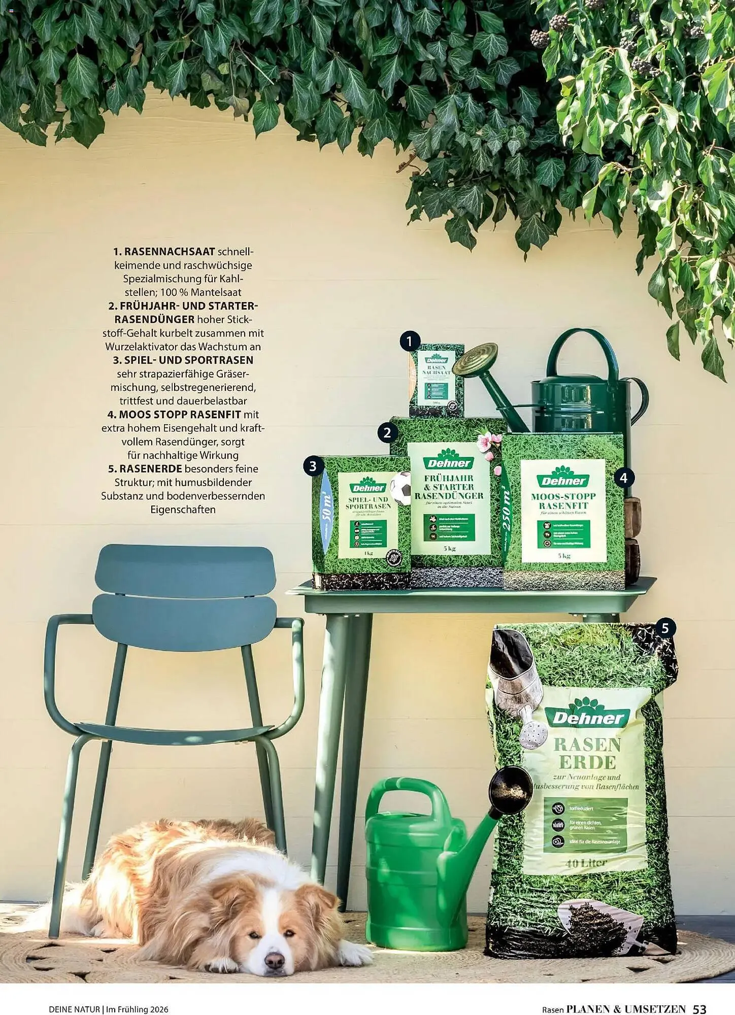 Dehner Prospekt von 4. März bis 31. Mai 2026 - Prospekt seite 53
