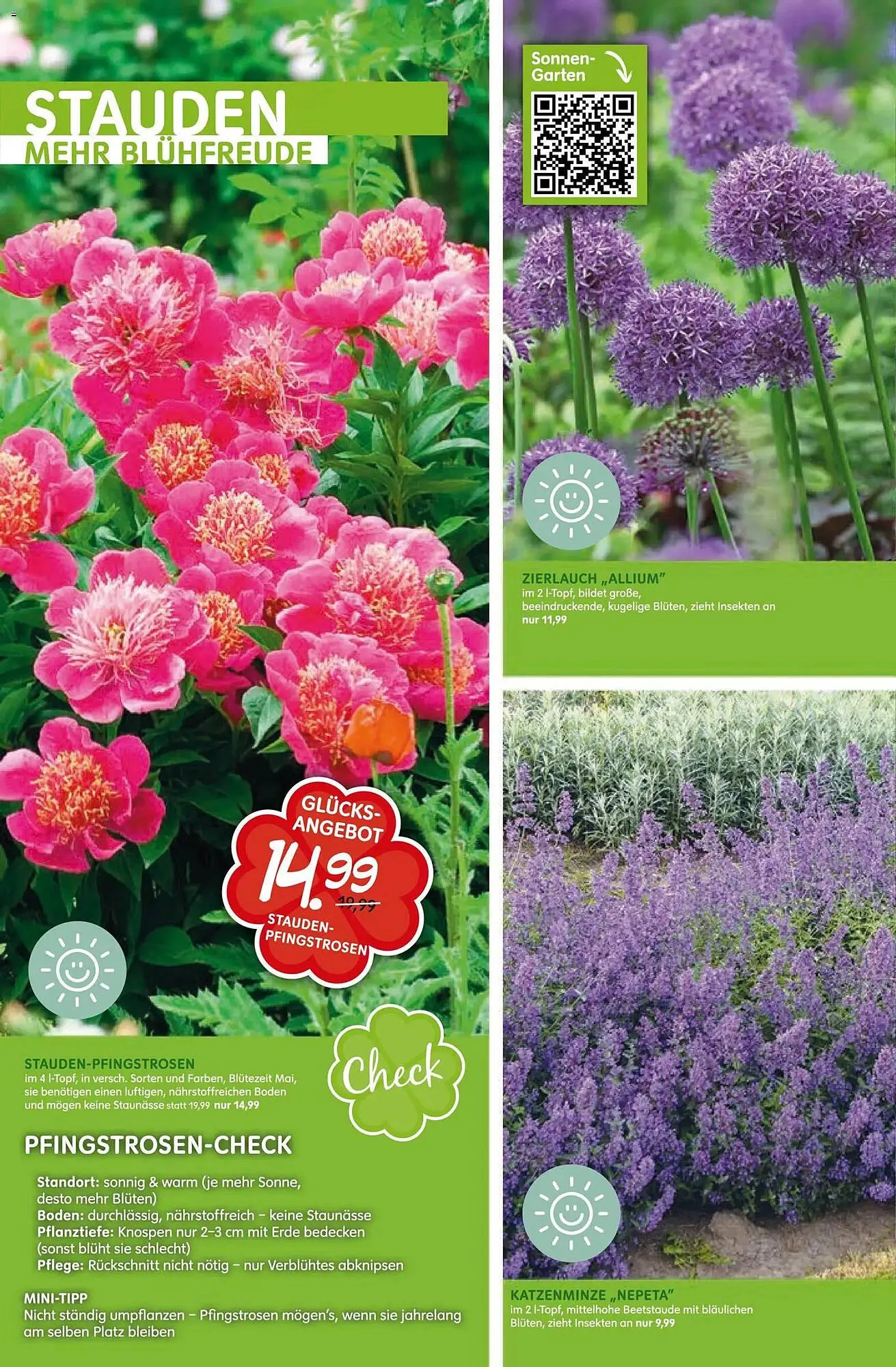 Blumen Risse Prospekt von 16. April bis 26. April 2026 - Prospekt seite 14