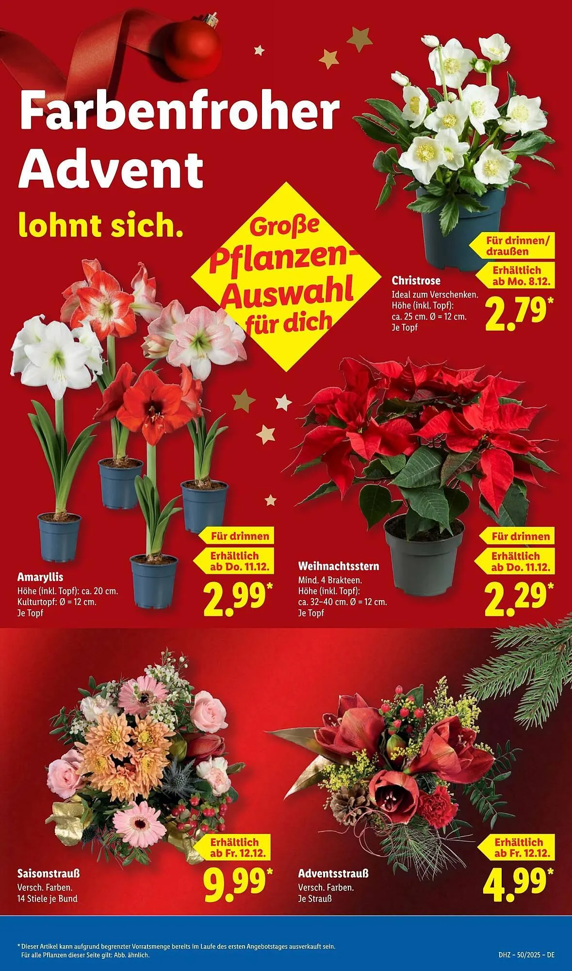 Lidl Prospekt von 8. Dezember bis 13. Dezember 2025 - Prospekt seite 21