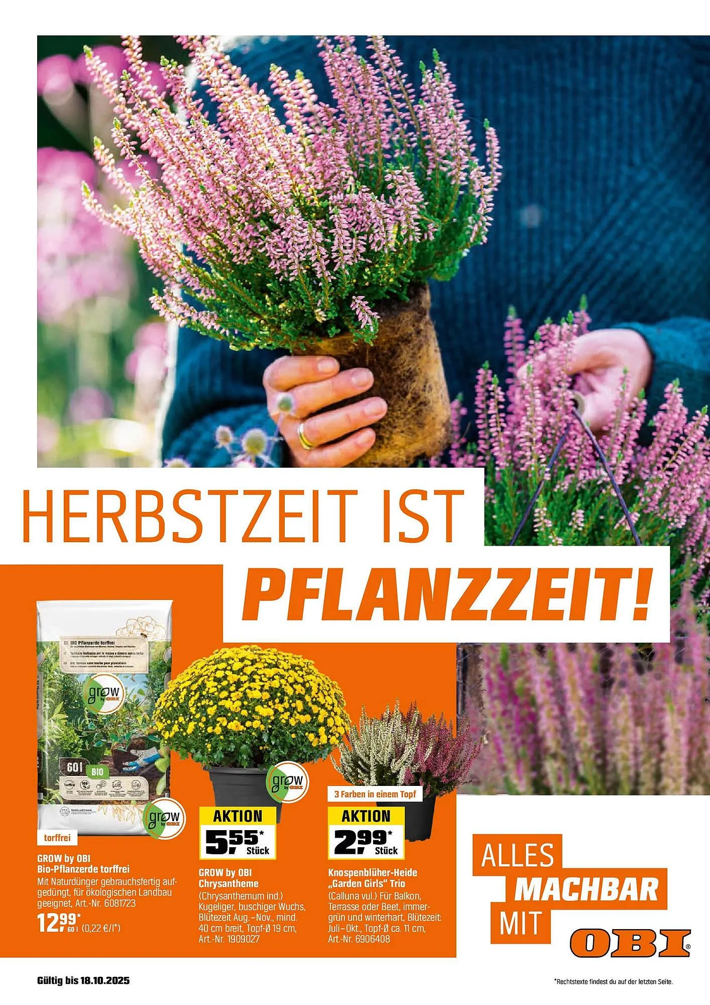 OBI Prospekt von 31. August bis 18. Oktober 2025 - Prospekt seite 1