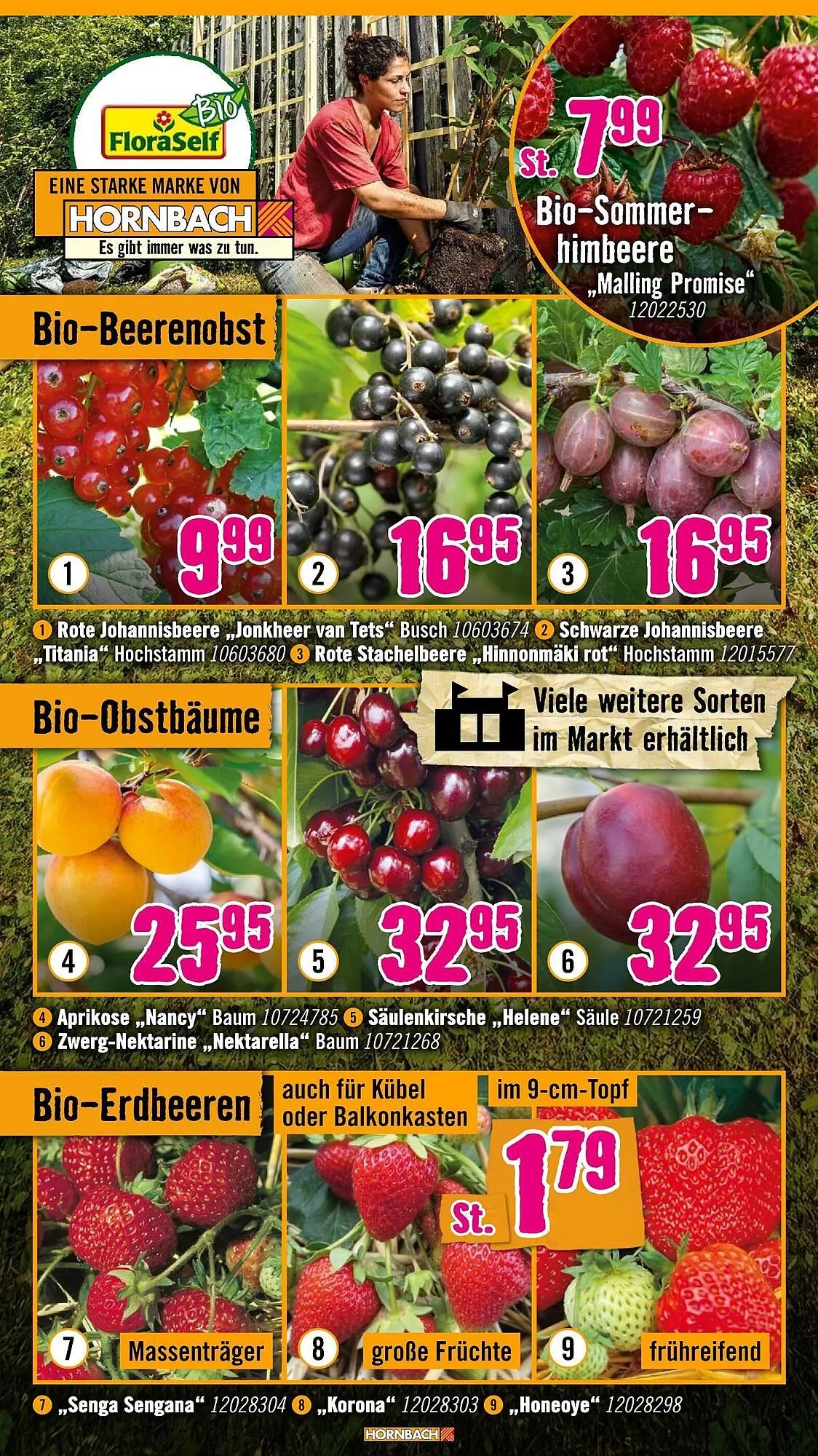 Hornbach Prospekt von 11. März bis 8. April 2026 - Prospekt seite 5
