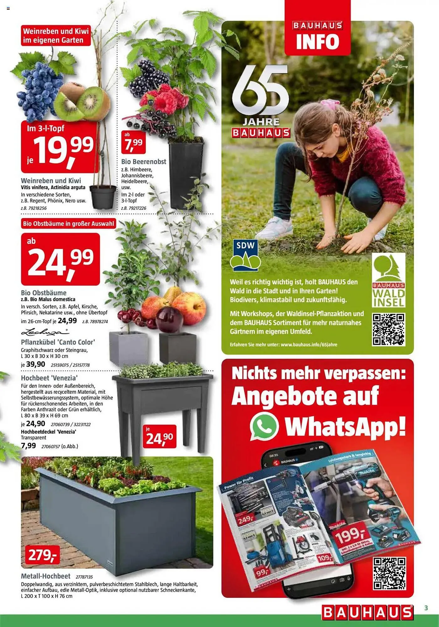 Bauhaus Prospekt von 29. März bis 3. Mai 2025 - Prospekt seite 3