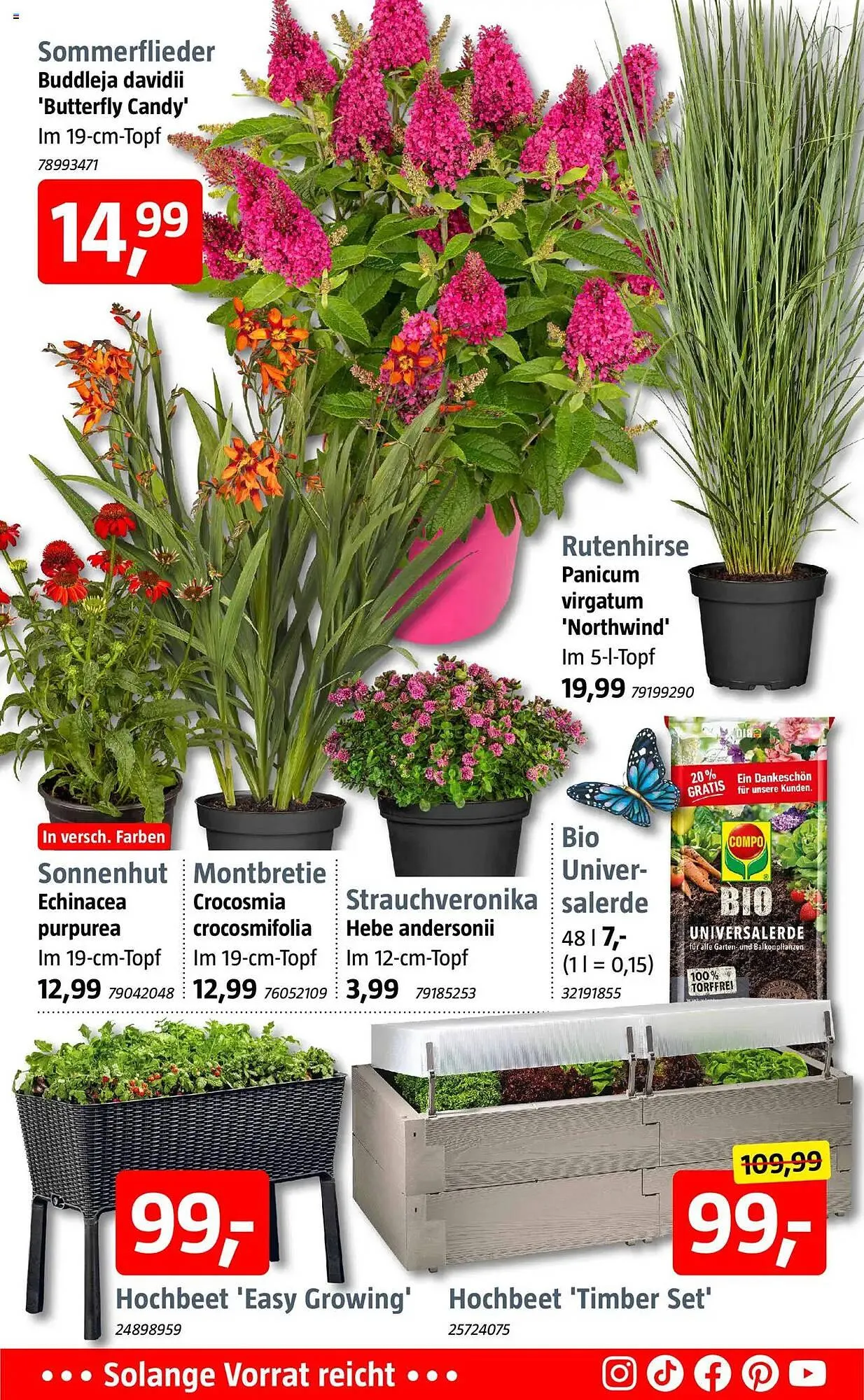 Bauhaus Prospekt von 29. Juni bis 19. Juli 2025 - Prospekt seite 5