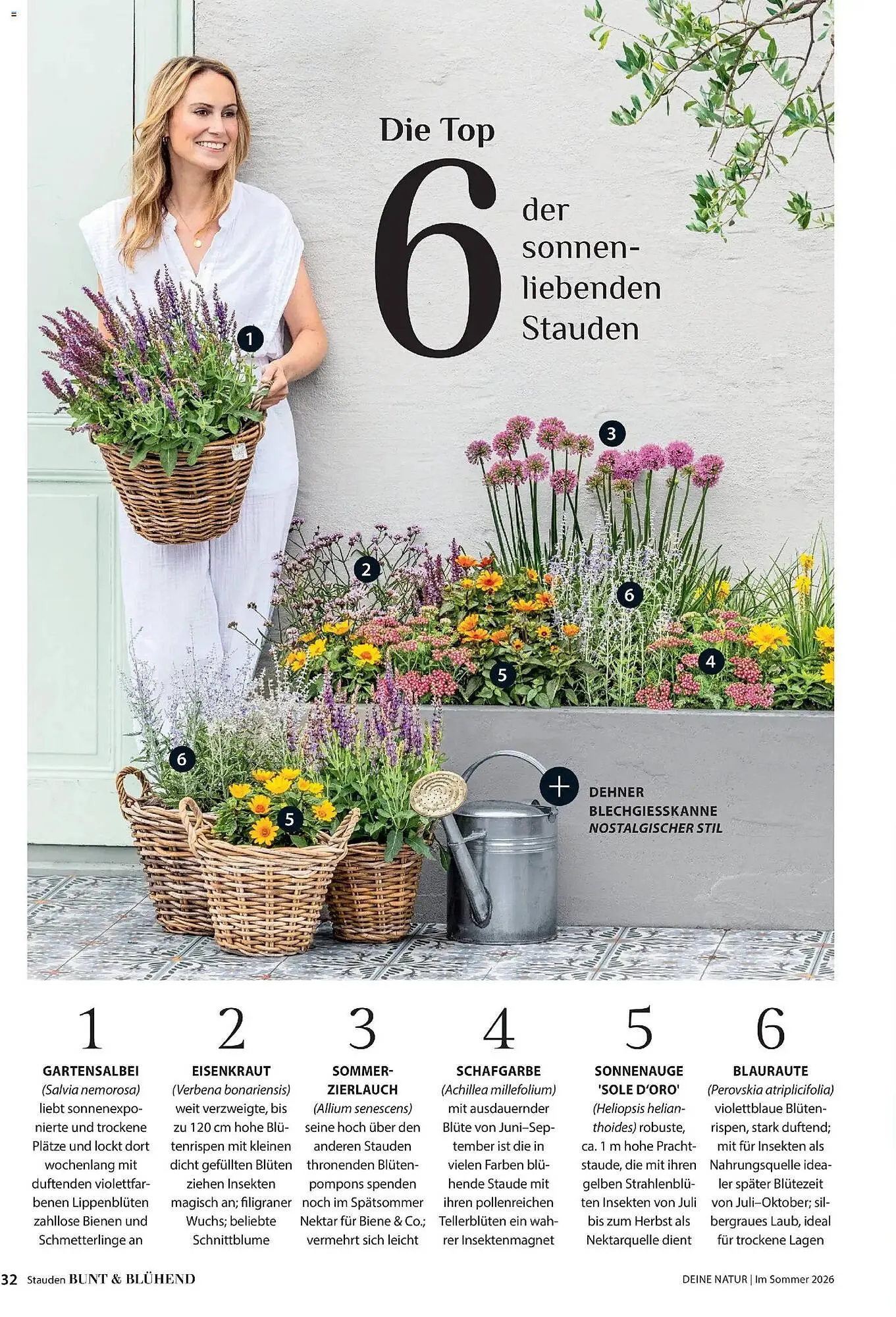 Dehner Prospekt von 17. April bis 31. August 2026 - Prospekt seite 32