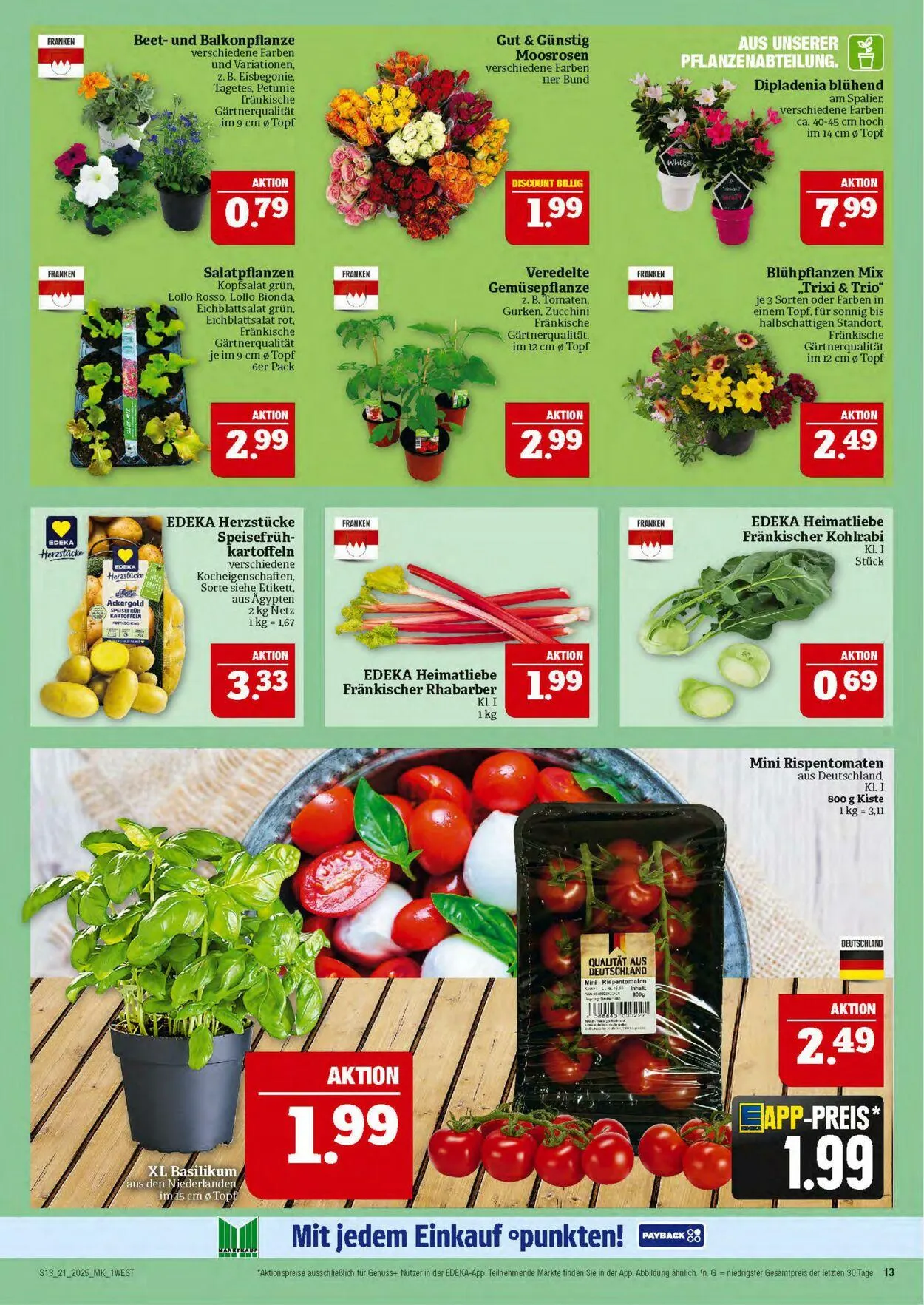 Marktkauf - Nürnberg-Thon Aktueller Prospekt von 19. Mai bis 24. Mai 2025 - Prospekt seite 13