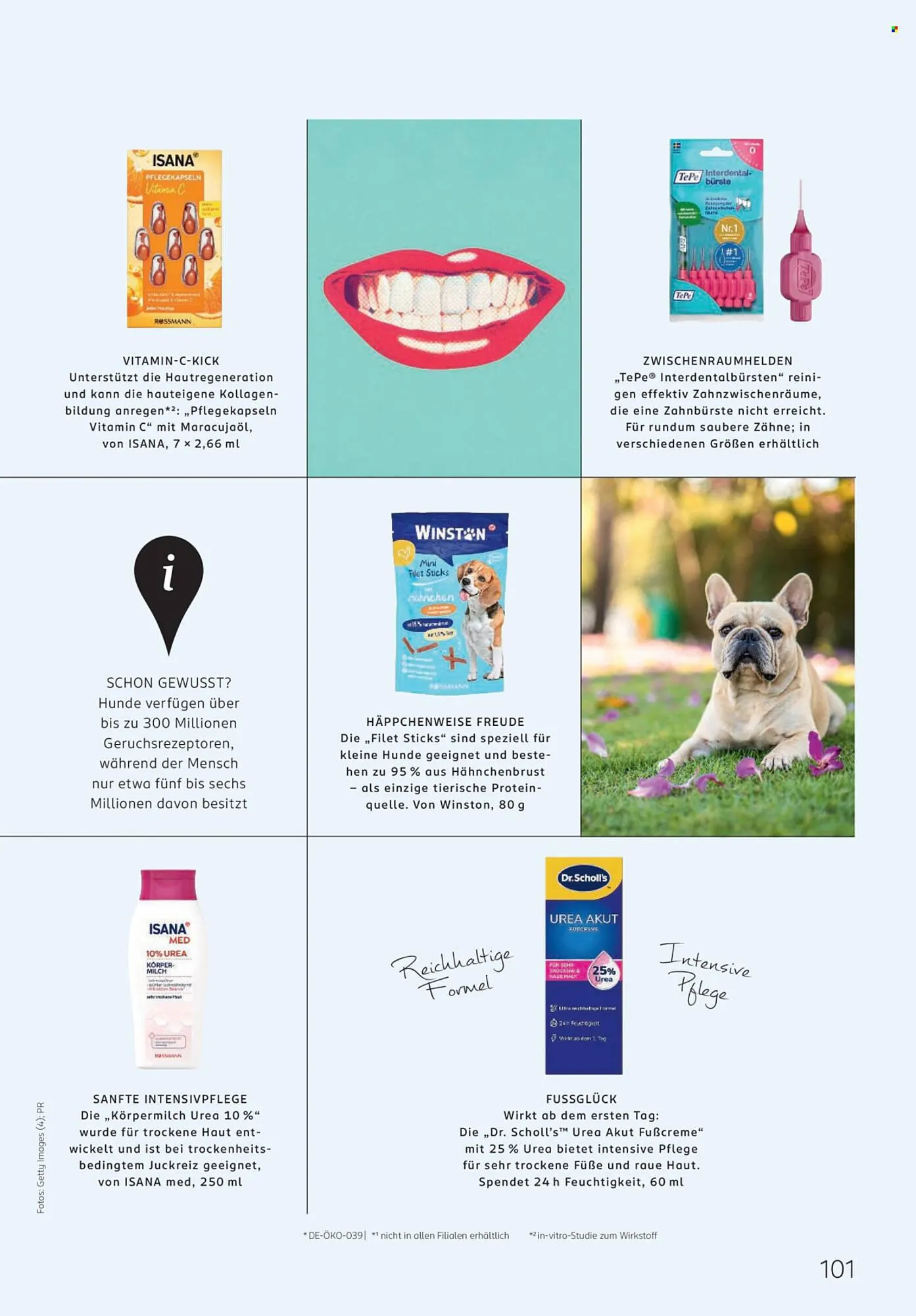Rossmann Magazin von 1. Mai bis 31. Mai 2026 - Prospekt seite 101