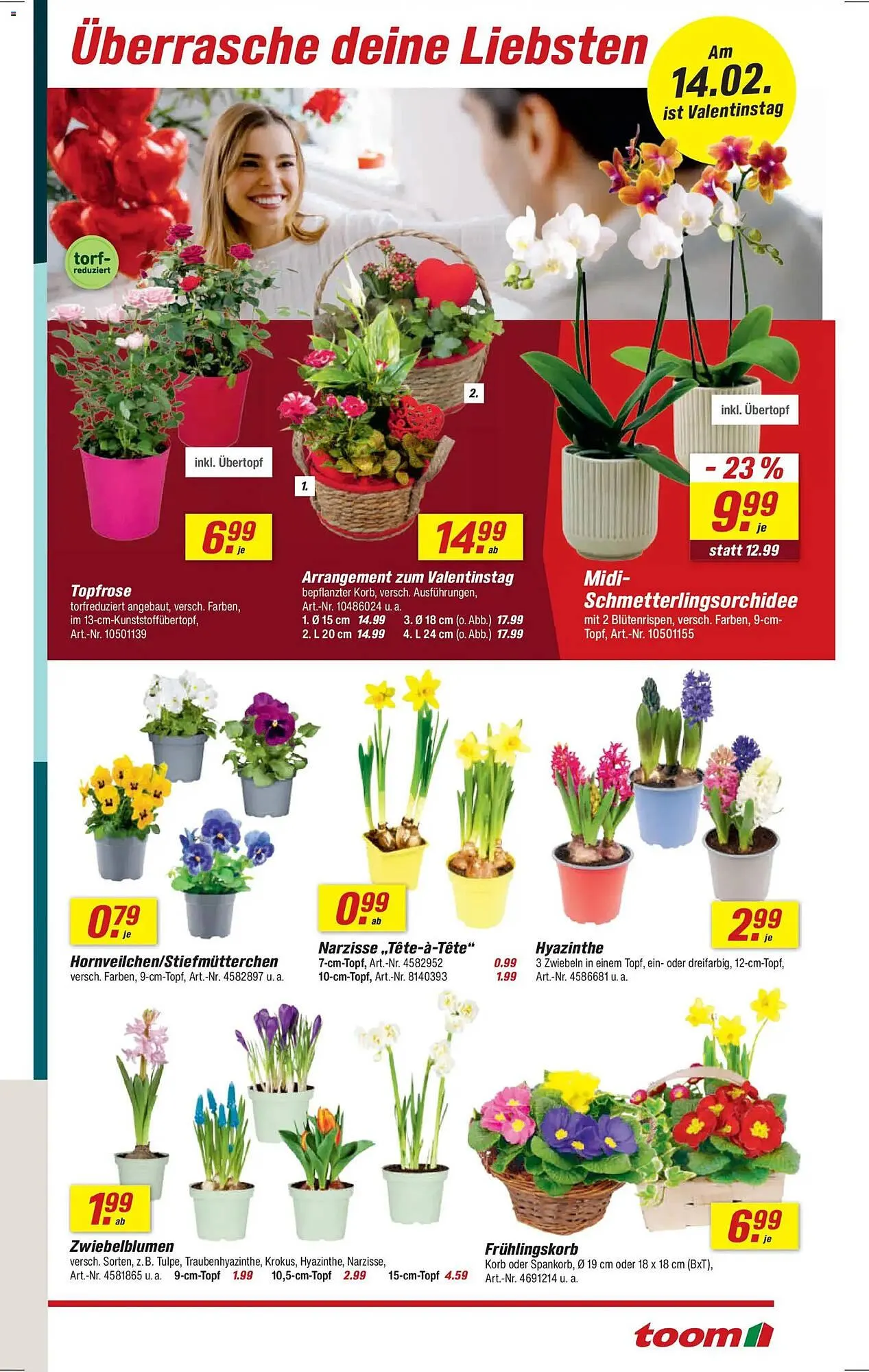 Toom Baumarkt Prospekt von 7. Februar bis 13. Februar 2026 - Prospekt seite 3