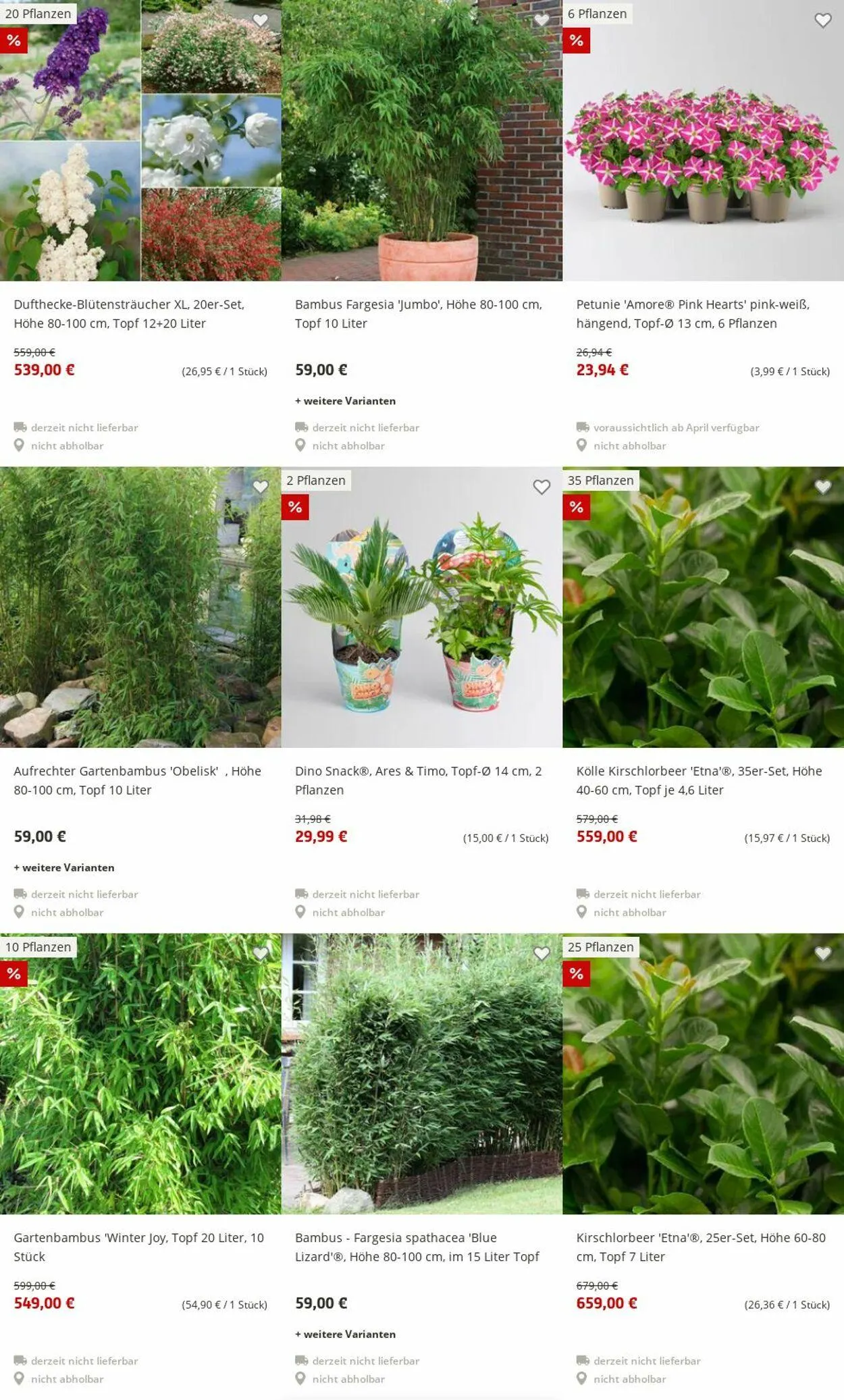 Pflanzen-Kölle Aktueller Prospekt von 30. Juni bis 9. Juli 2025 - Prospekt seite 11