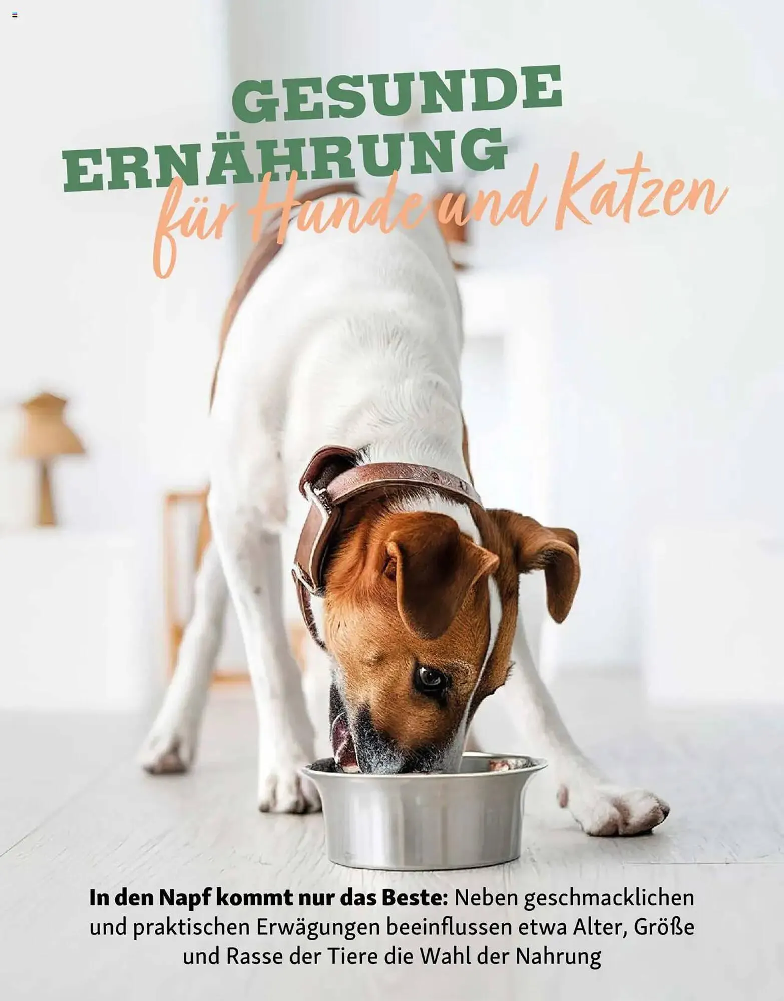 Fressnapf Magazin von 1. September bis 31. Oktober 2025 - Prospekt seite 16