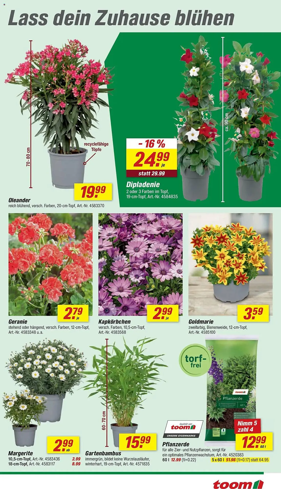 Toom Baumarkt Prospekt von 2. Mai bis 8. Mai 2026 - Prospekt seite 9