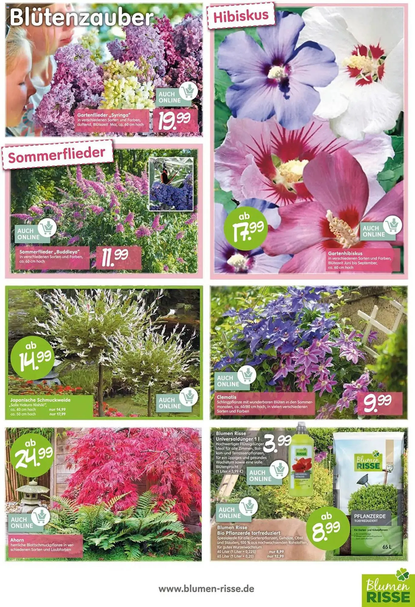 Blumen Risse Prospekt von 26. April bis 7. Mai 2025 - Prospekt seite 3