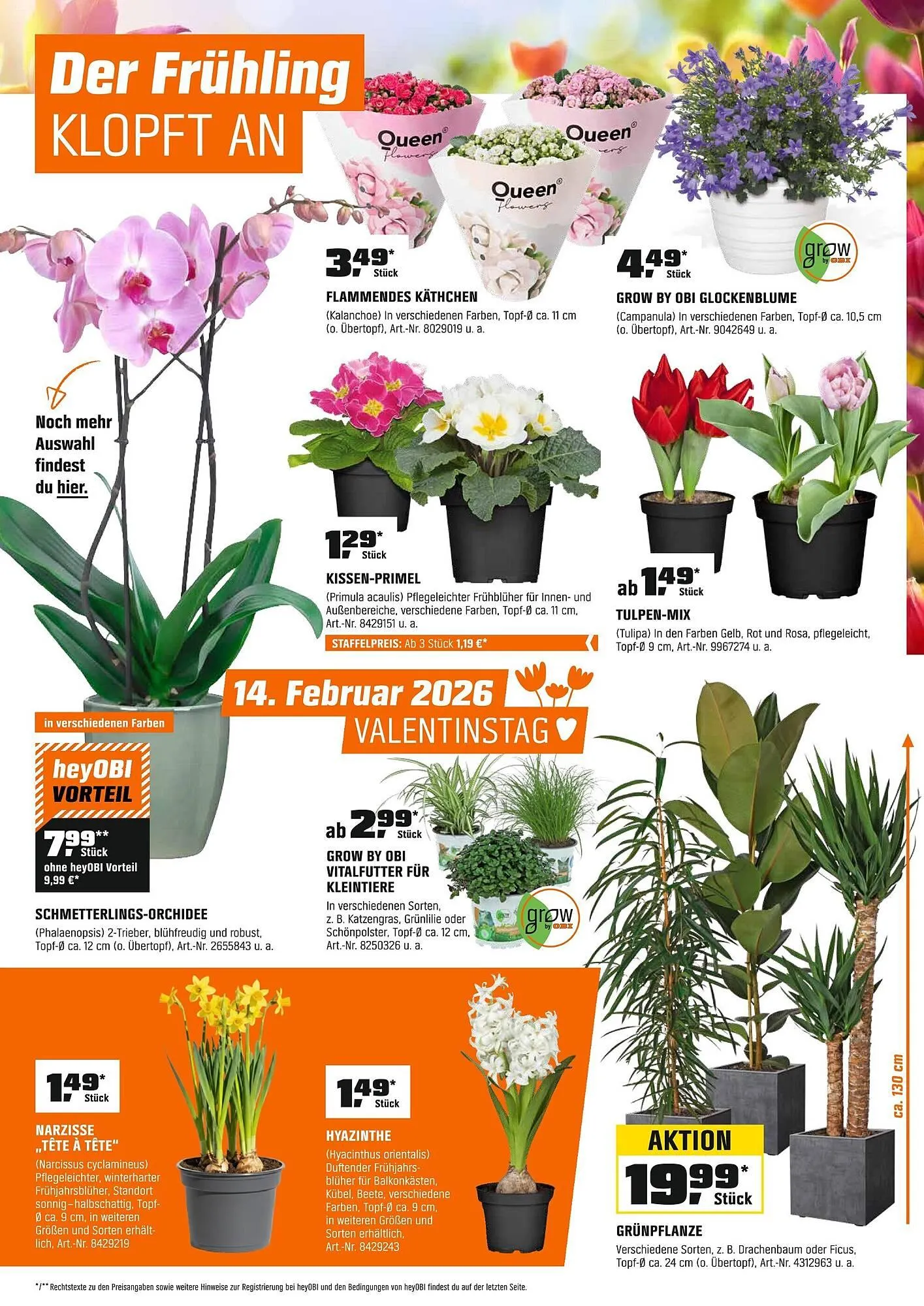 OBI Prospekt von 30. Januar bis 28. Februar 2026 - Prospekt seite 7