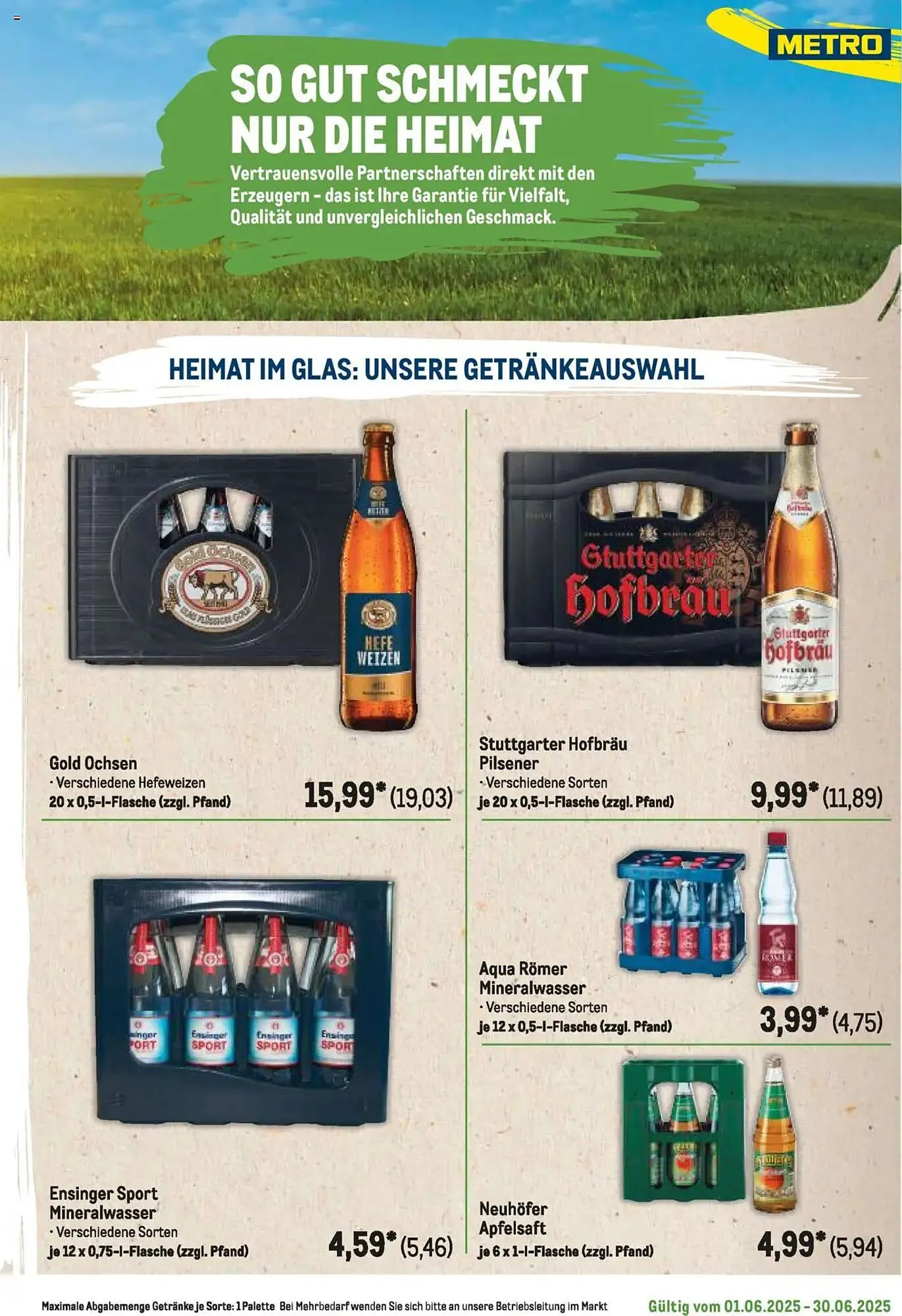 METRO Prospekt von 1. Juni bis 30. Juni 2025 - Prospekt seite 381