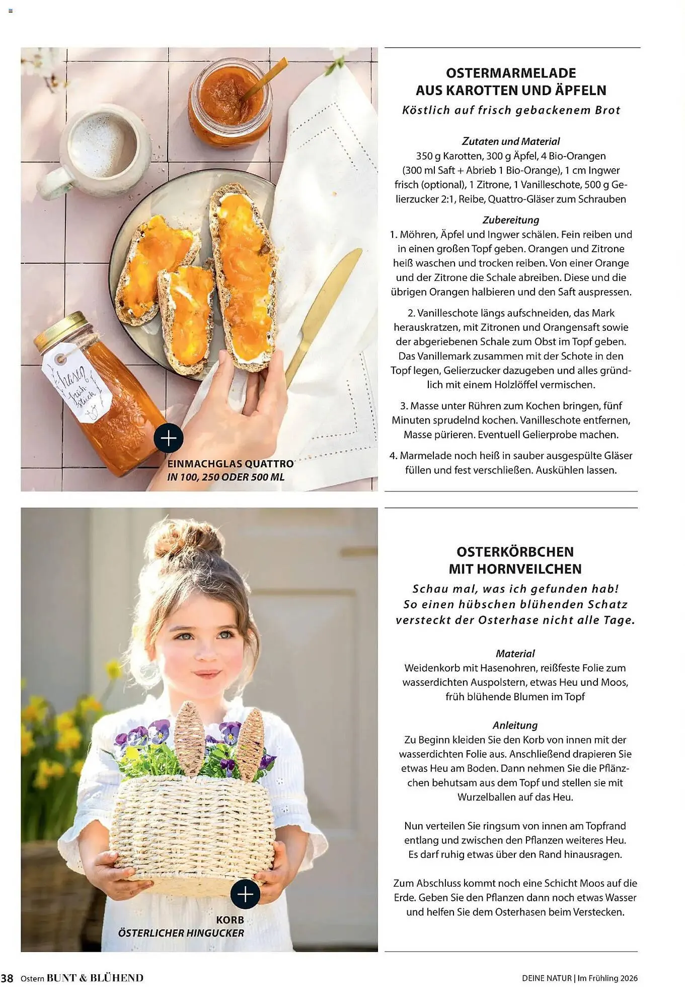 Dehner Prospekt von 4. März bis 31. Mai 2026 - Prospekt seite 38