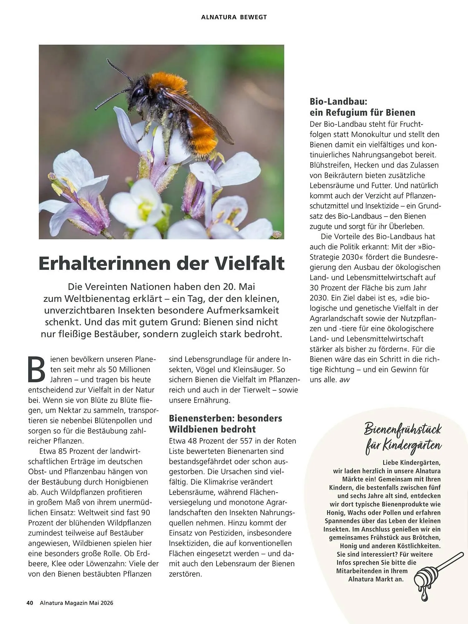 Alnatura Magazin von 1. Mai bis 1. Juni 2026 - Prospekt seite 40