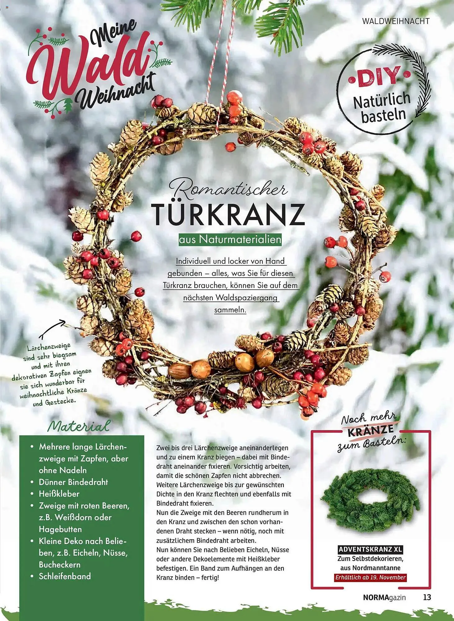 Norma Prospekt von 1. November bis 31. Dezember 2025 - Prospekt seite 13