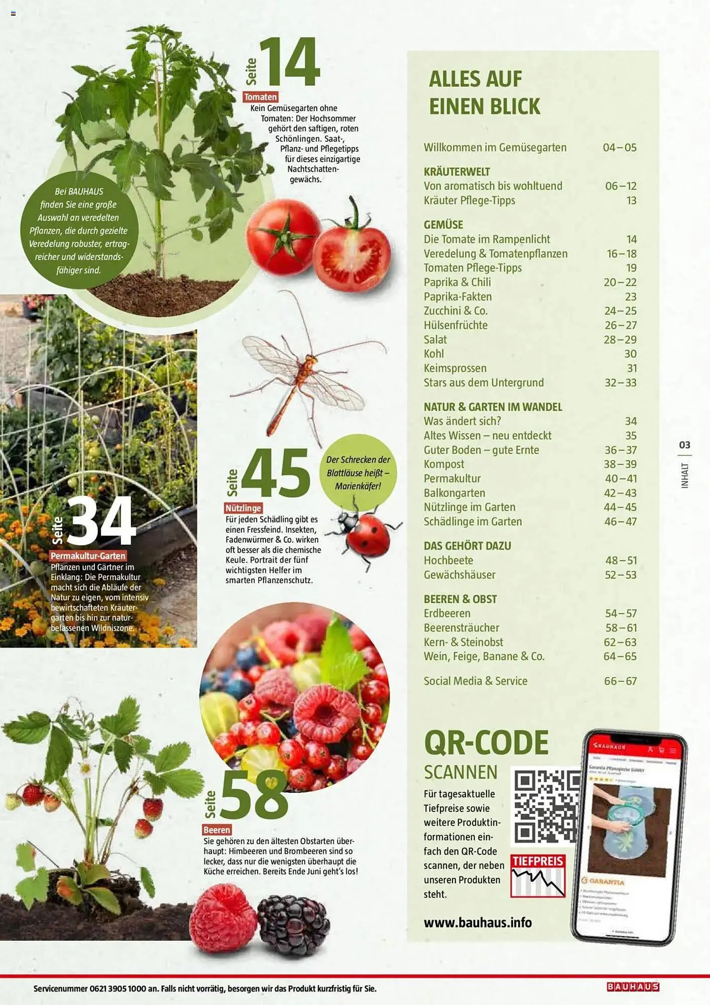 Bauhaus Prospekt von 20. Januar bis 30. Juni 2025 - Prospekt seite 3