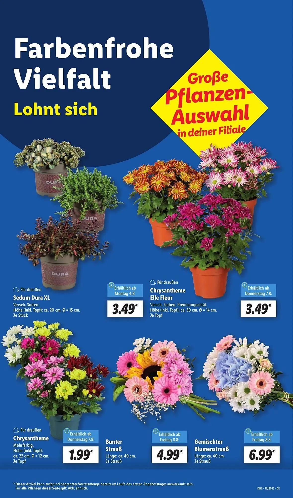 Lidl Prospekt von 4. August bis 10. August 2025 - Prospekt seite 13