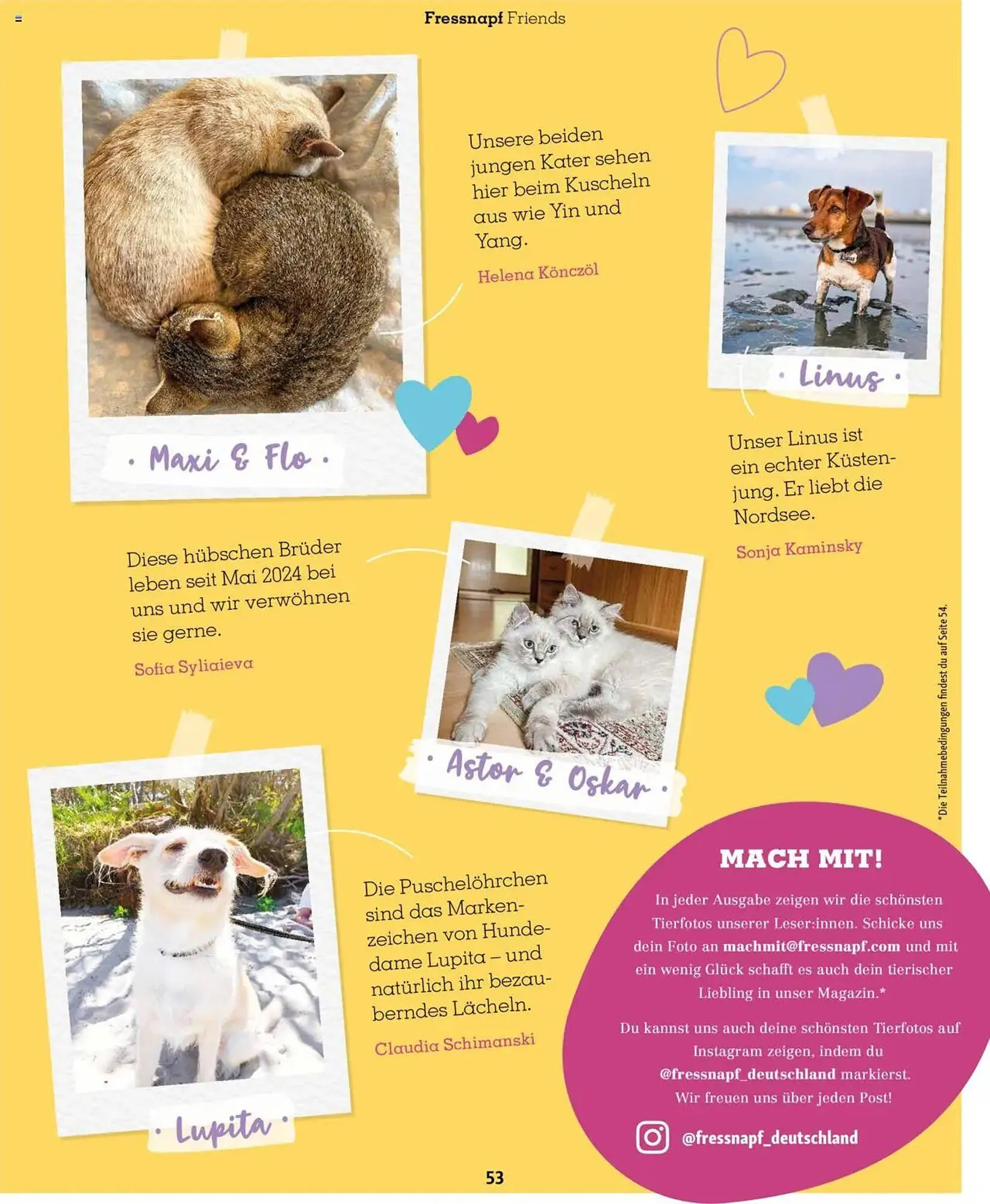 Fressnapf Prospekt von 1. Juli bis 31. August 2025 - Prospekt seite 53